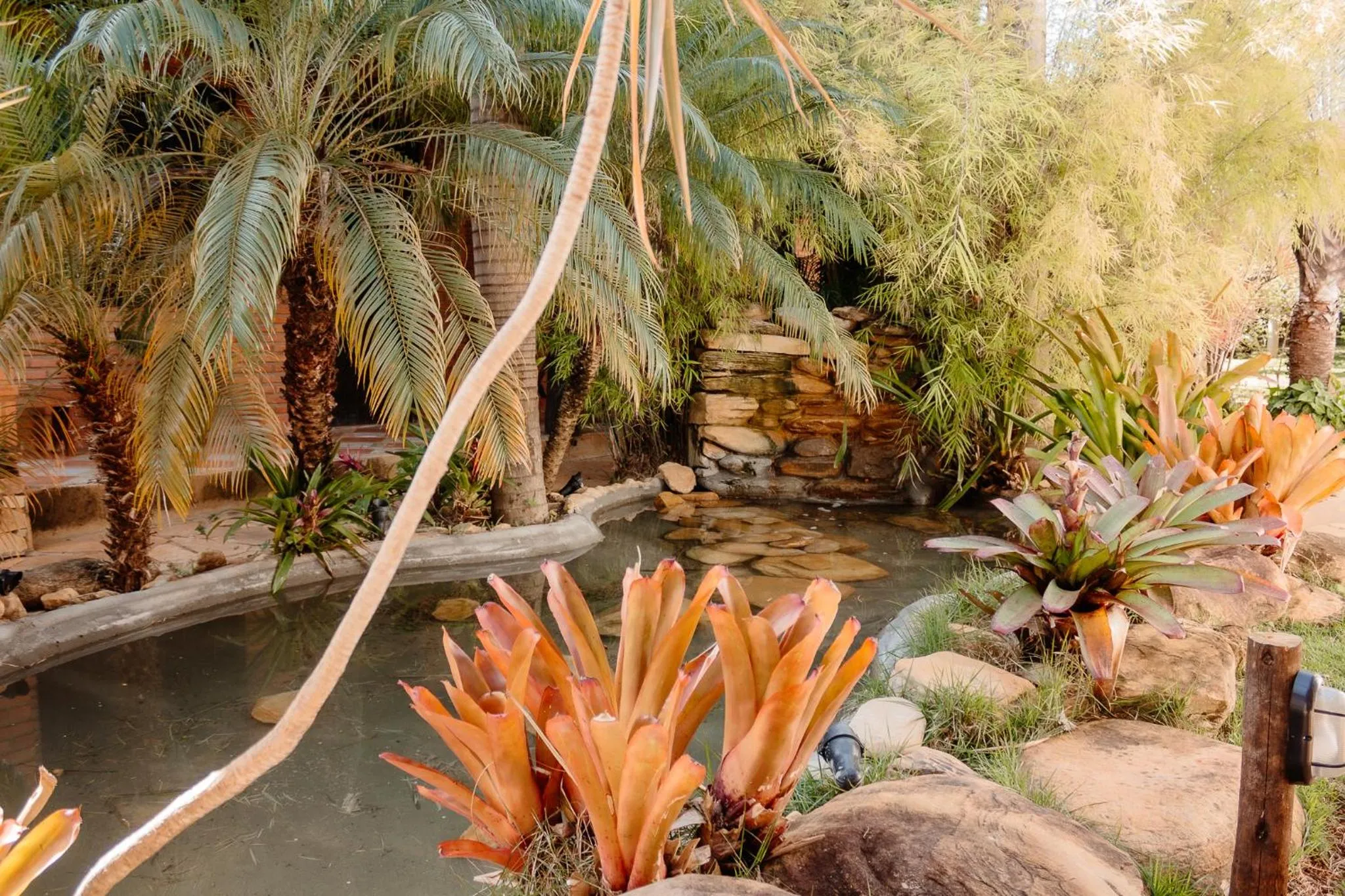 Natural landscape in Pousada Adega Cipo