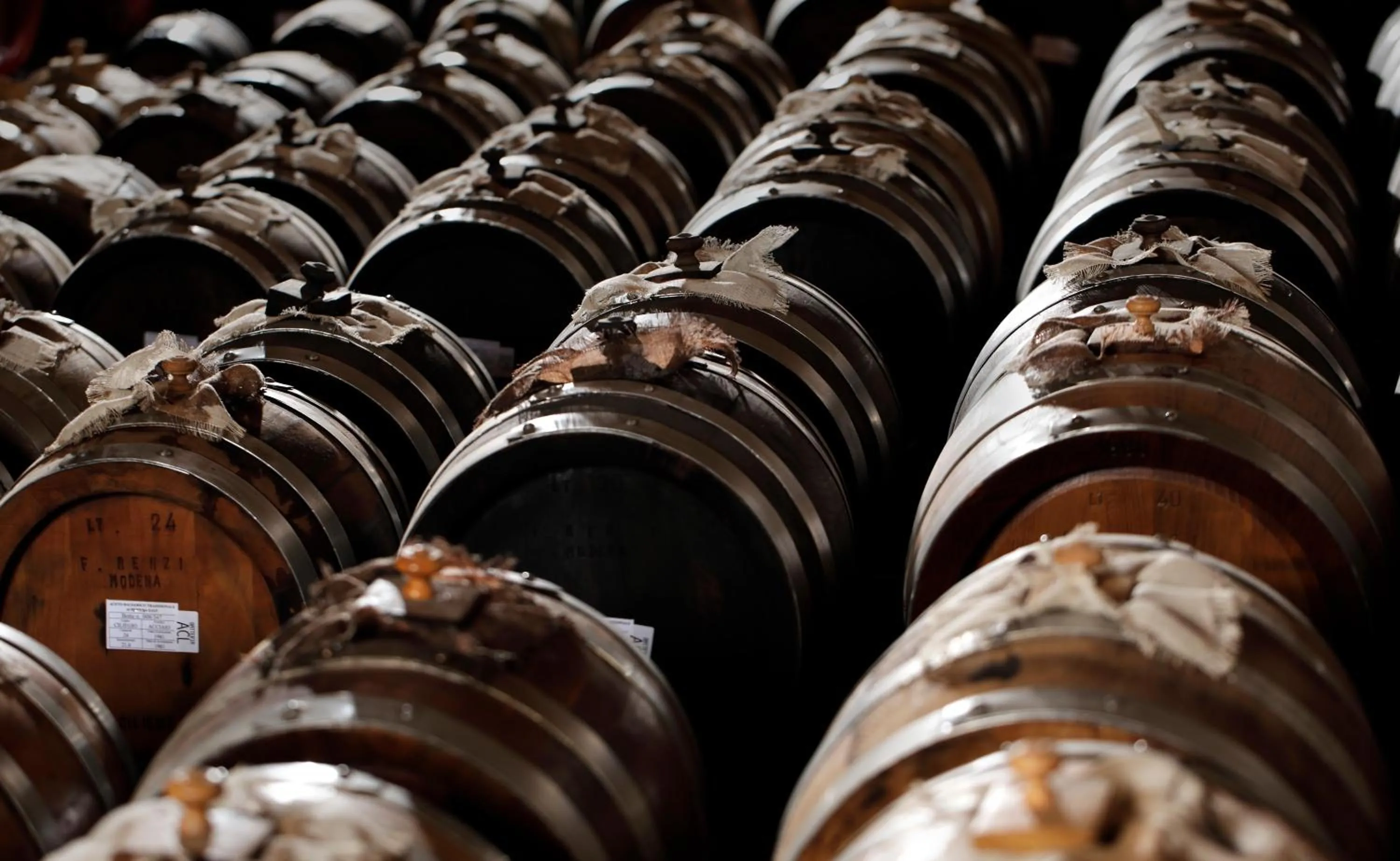 Activities in Agriturismo Acetaia Sereni