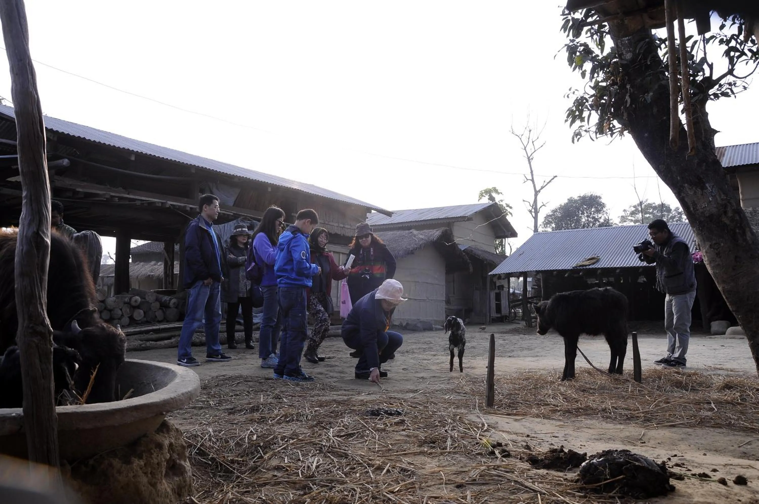 Other in Green Park Chitwan