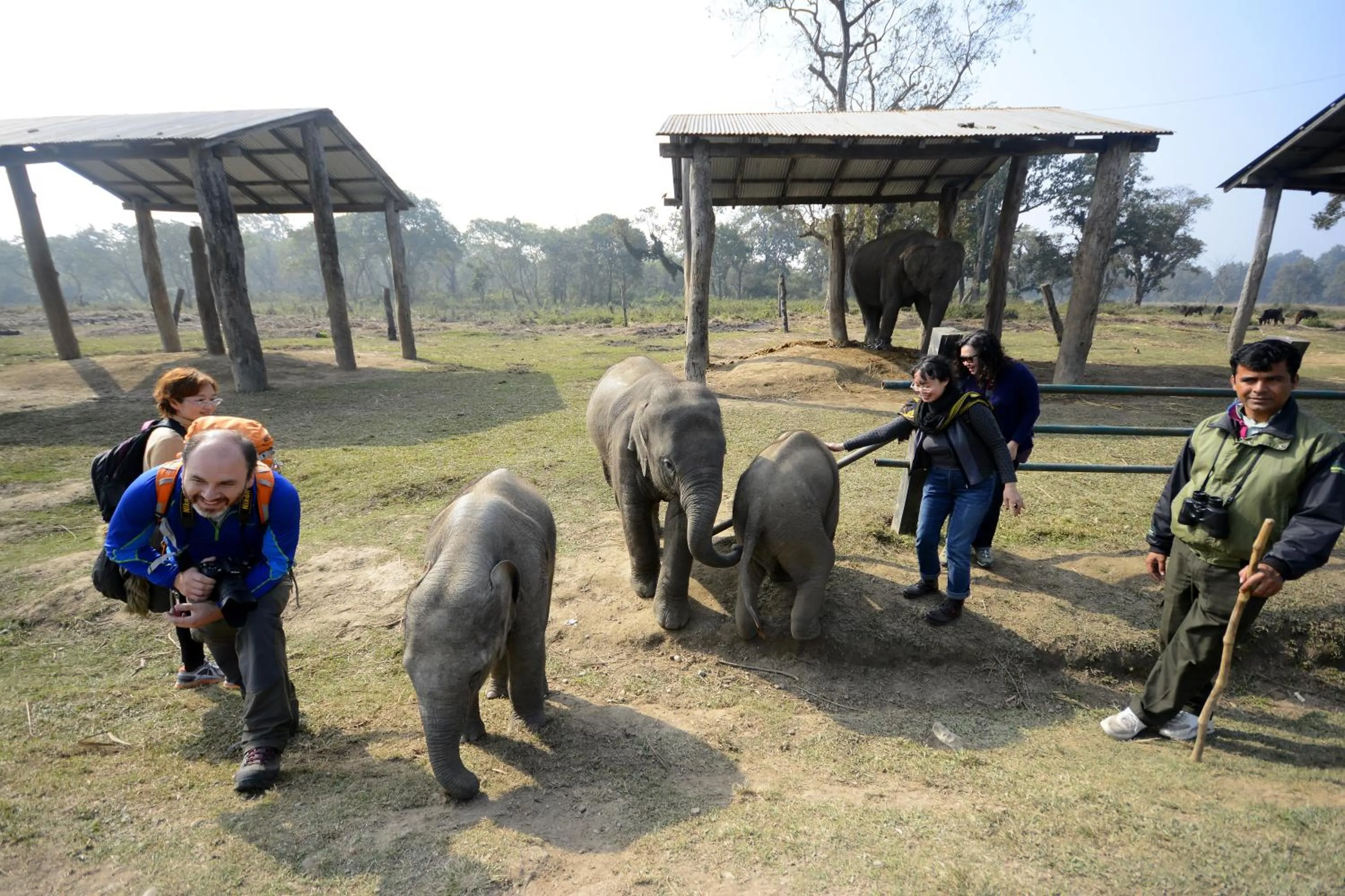 Other in Green Park Chitwan