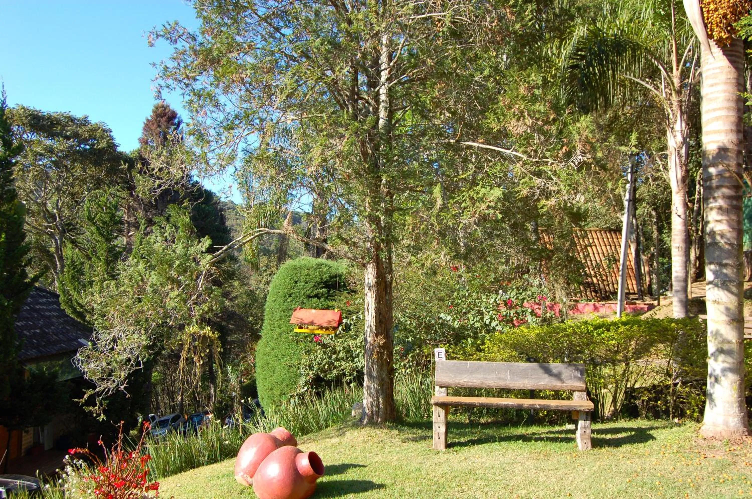 Natural landscape in Pássaro de Fogo