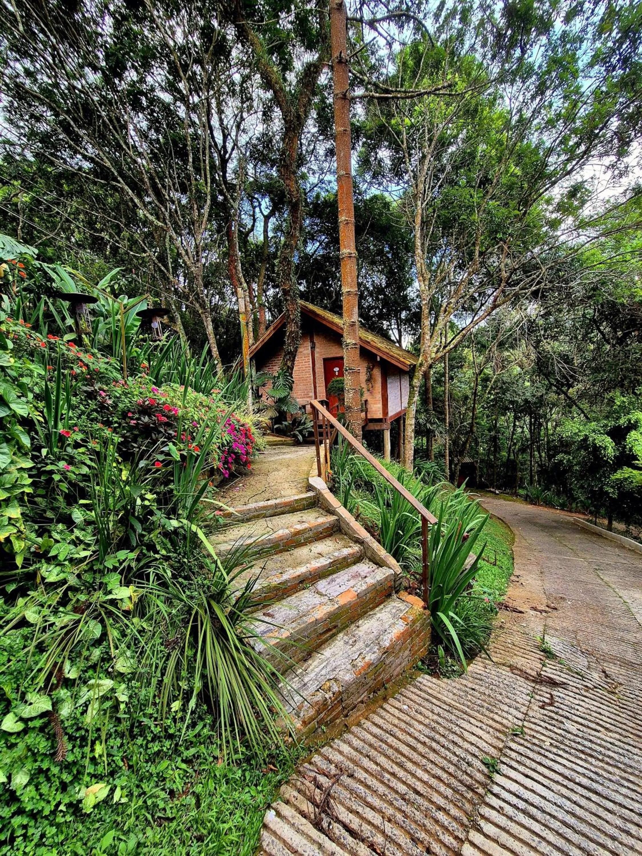 Natural landscape in Pássaro de Fogo