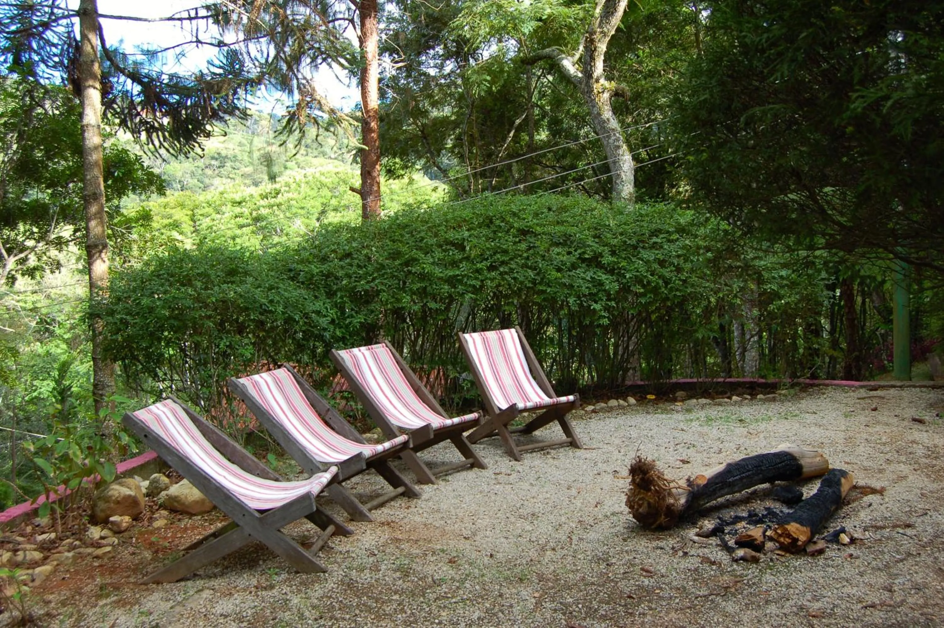 Garden in Pássaro de Fogo