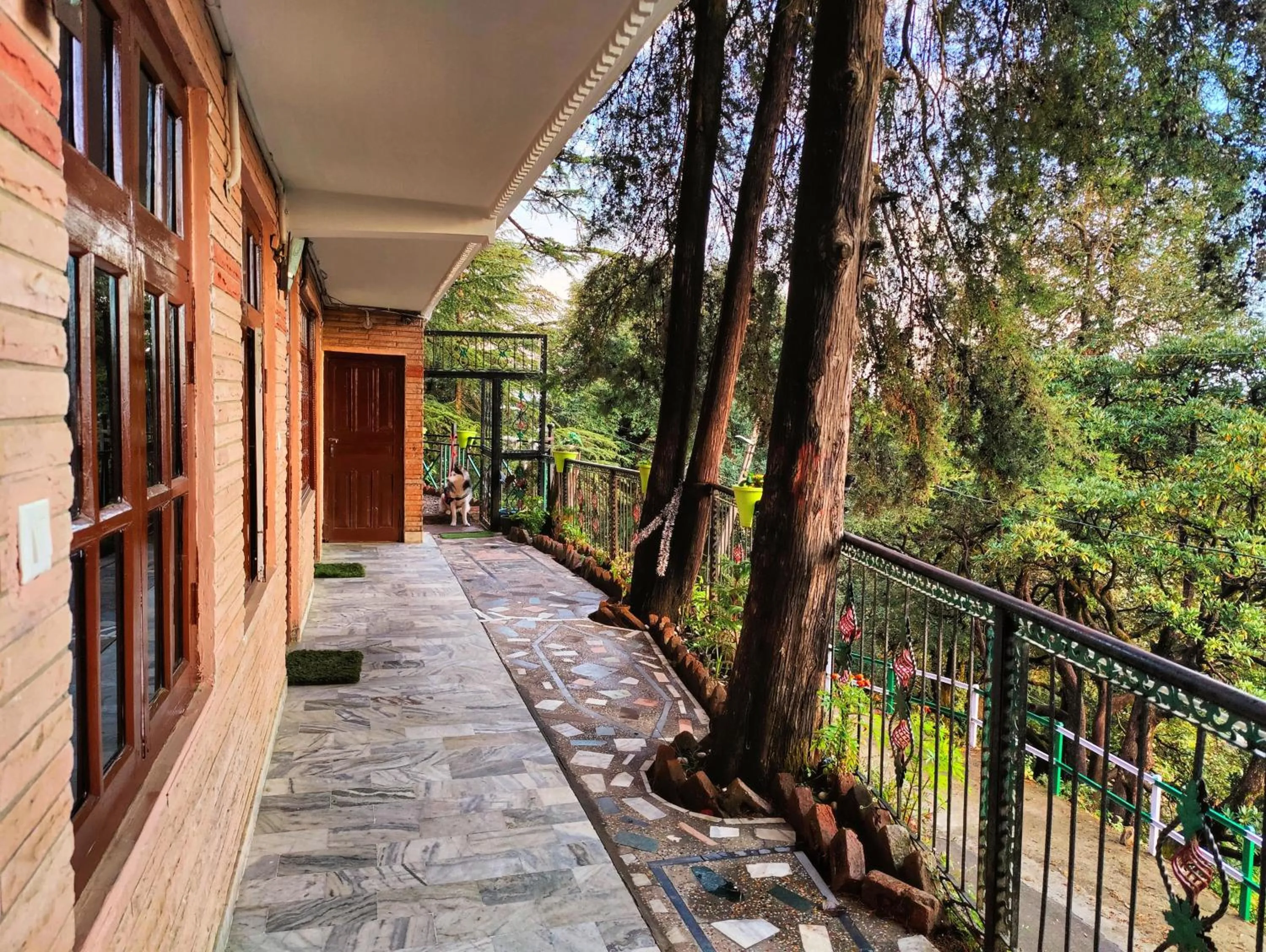 Property building in Jakhu Vibes