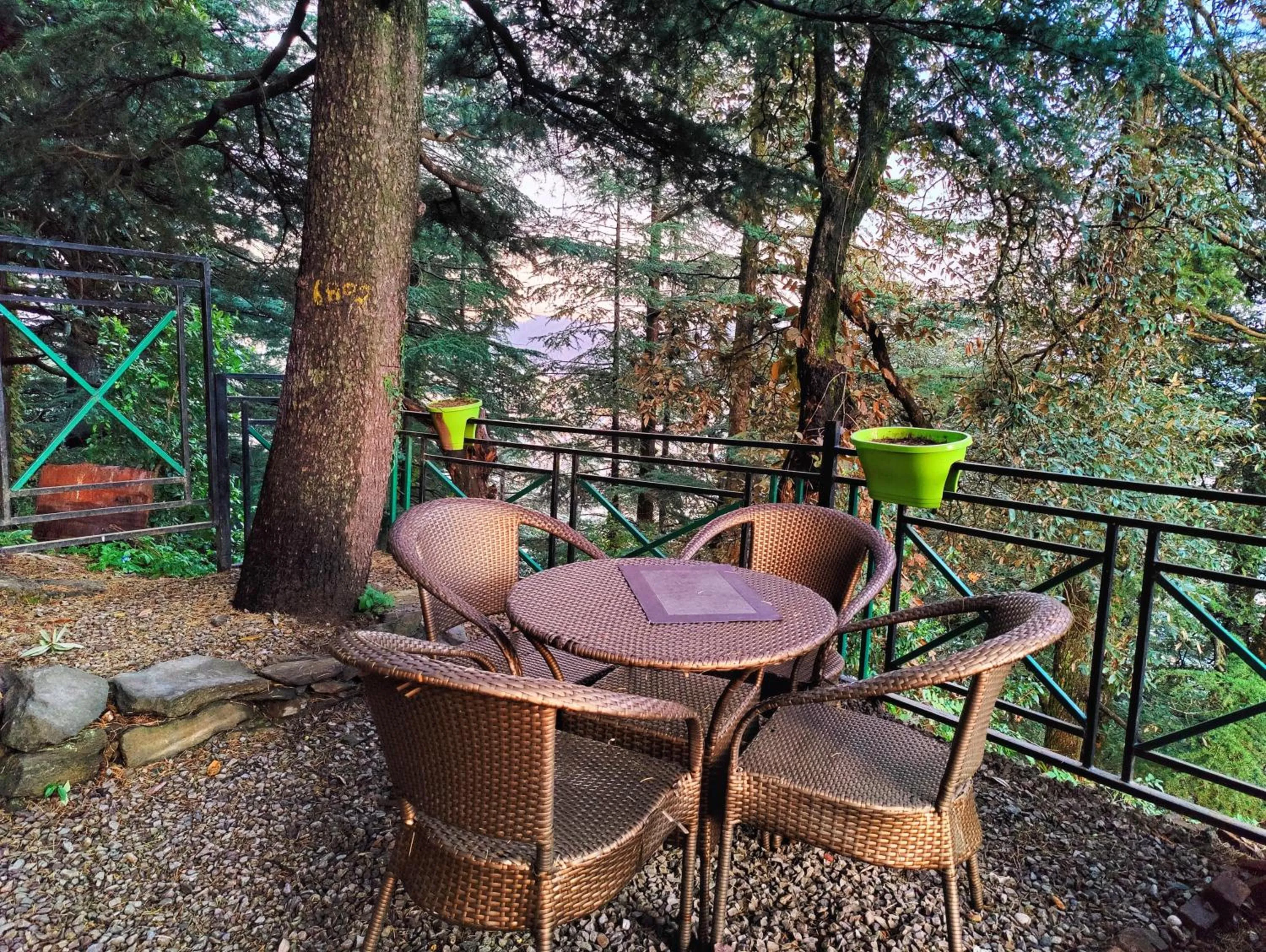 Restaurant/places to eat in Jakhu Vibes