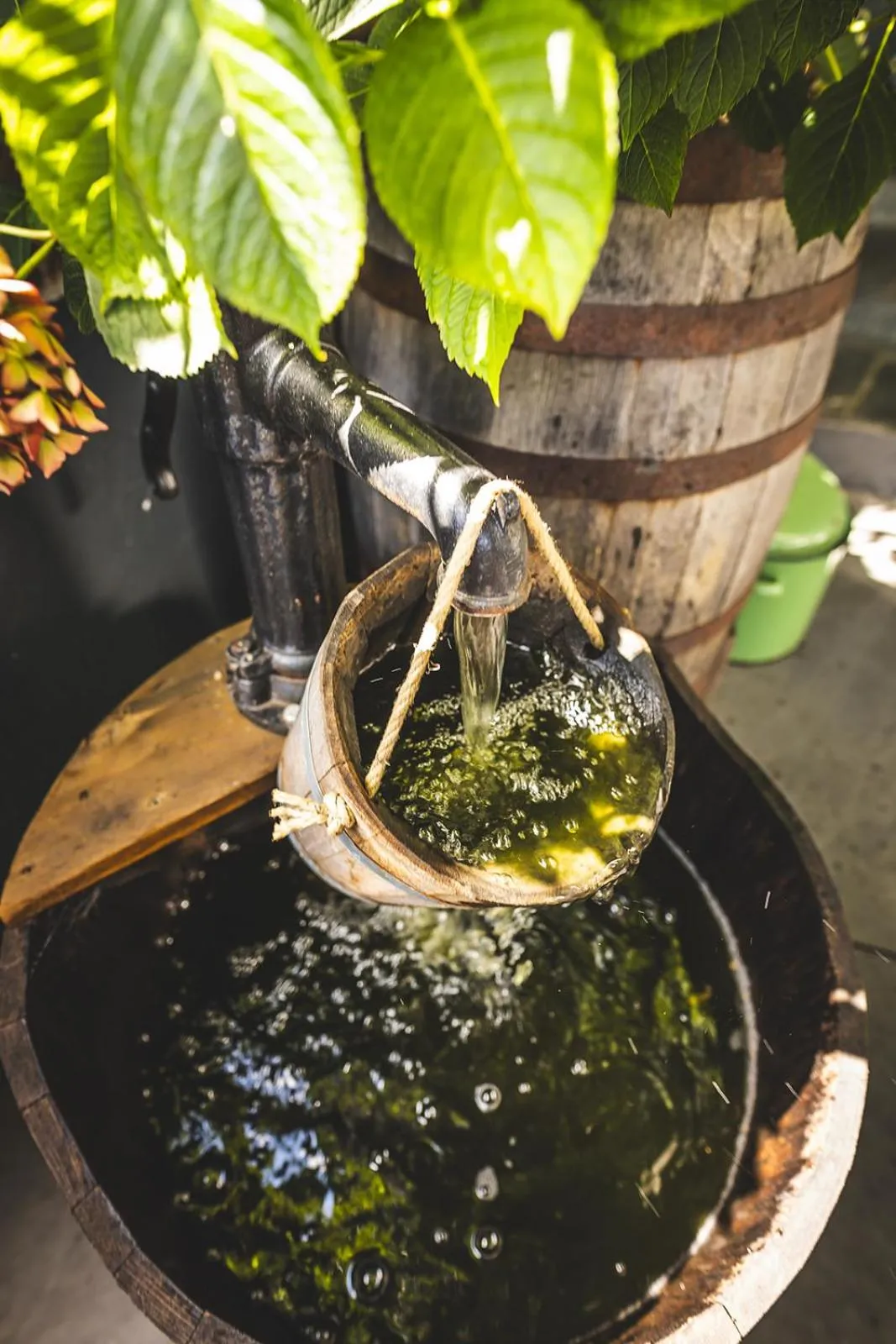 Garden in Boutique Hotel LANDHAUSZEIT