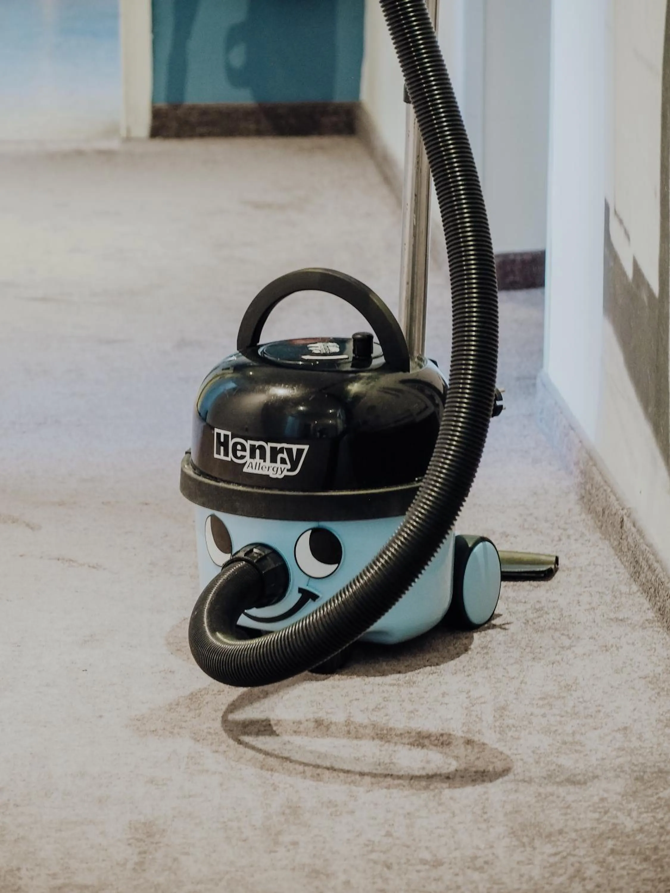 Decorative detail in Levy's Rooms & Breakfast