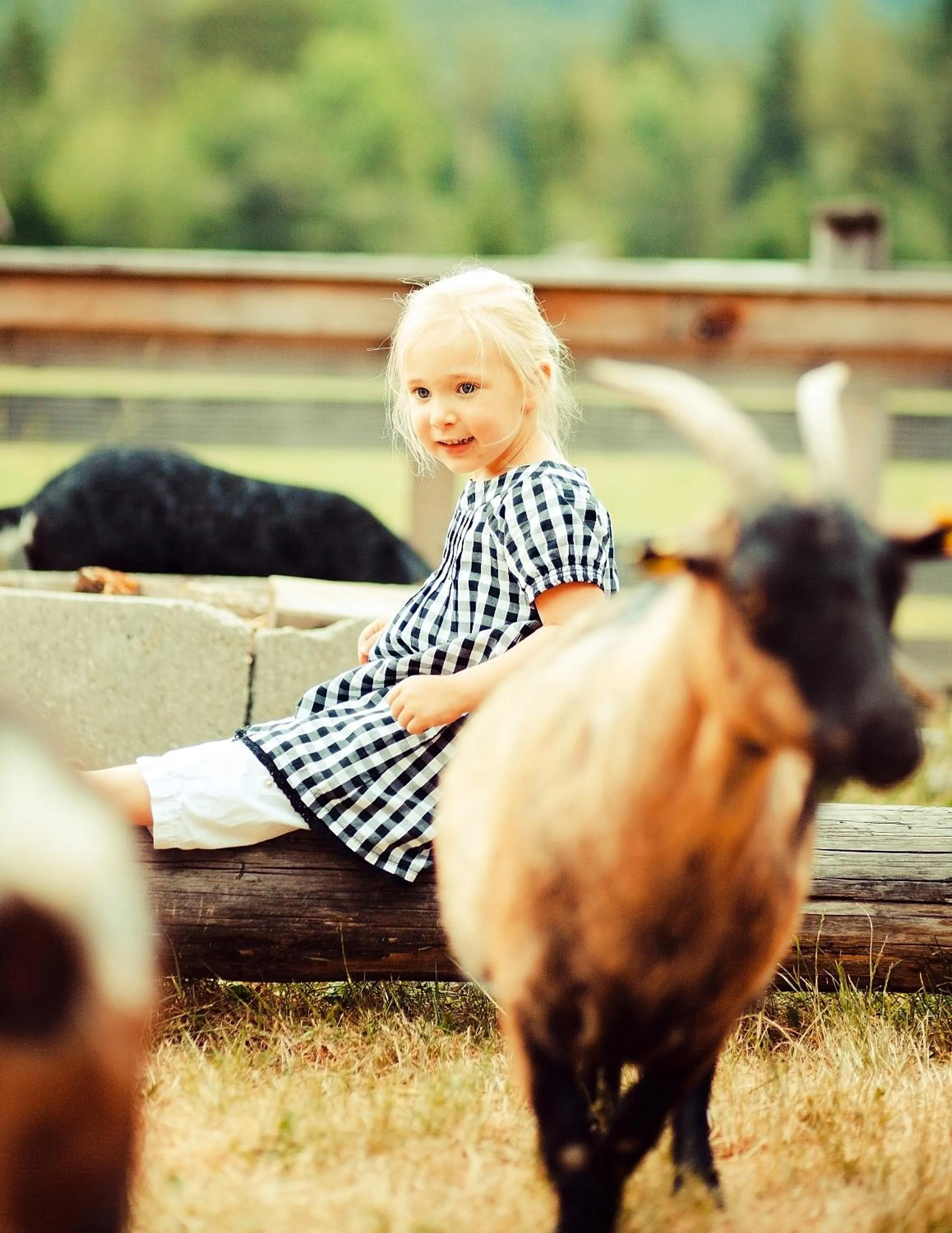On site in Der Stern - Nachhaltiges Wirtshaus und Landhotel seit 1509