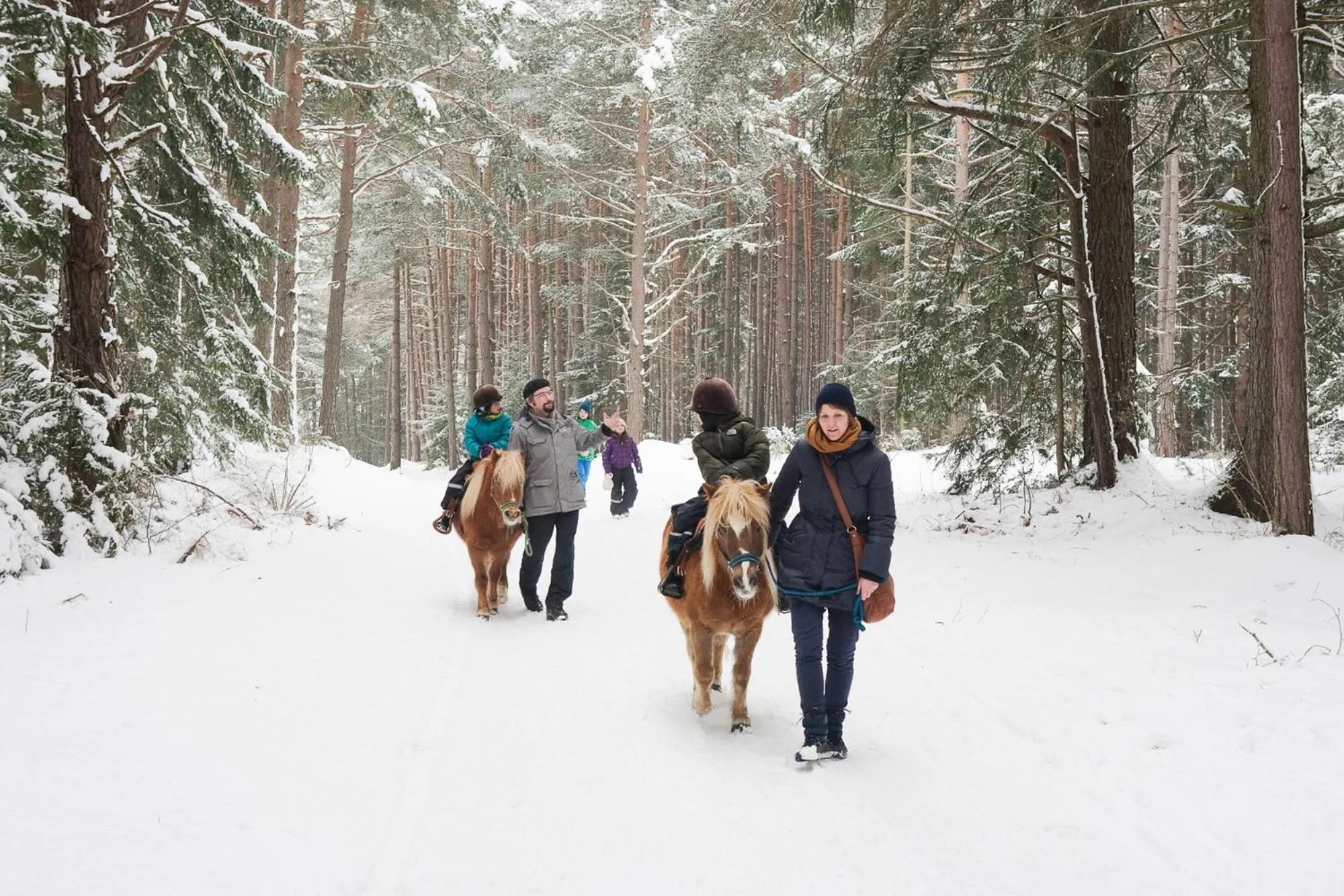 Animals in Der Stern - Nachhaltiges Wirtshaus und Landhotel seit 1509