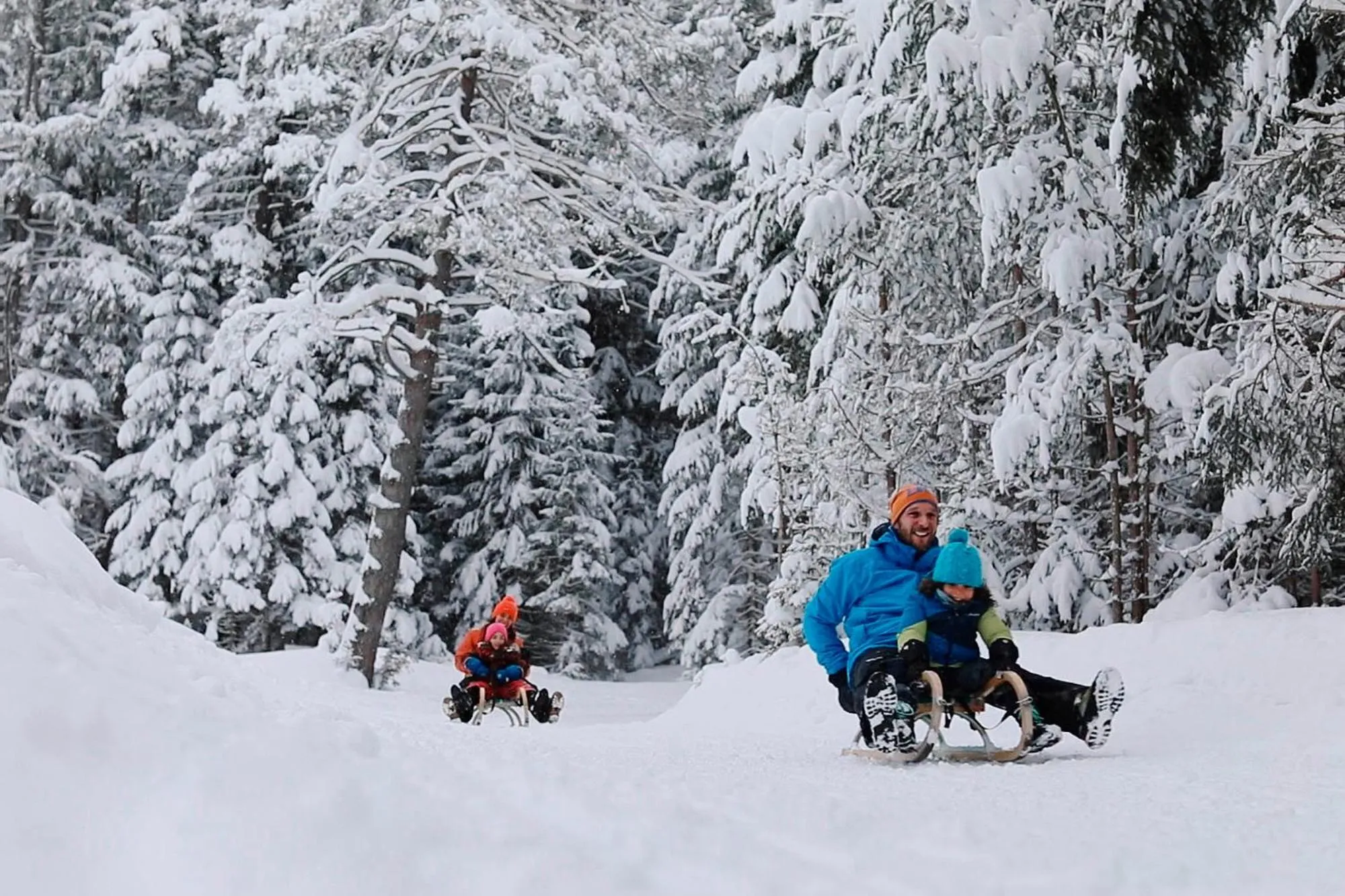 Activities in Der Stern - Nachhaltiges Wirtshaus und Landhotel seit 1509
