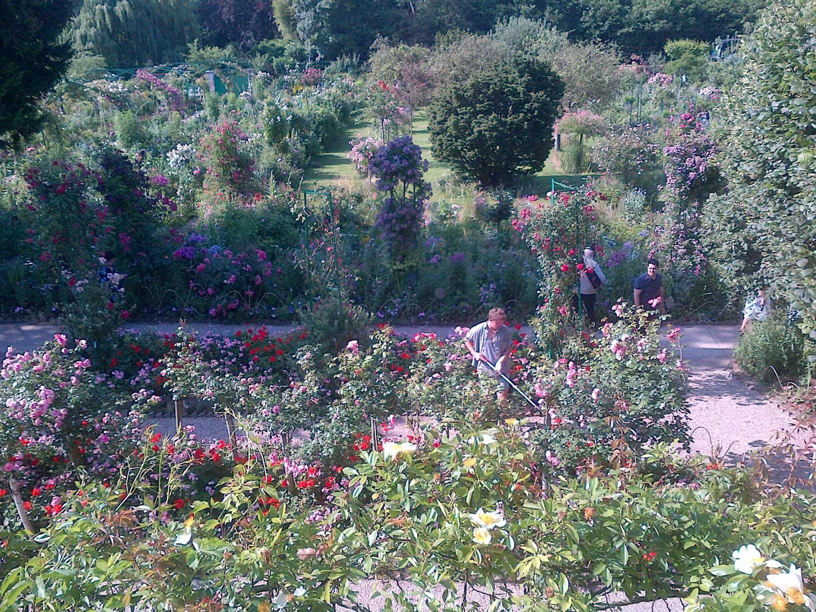 Nearby landmark in Forest Farm