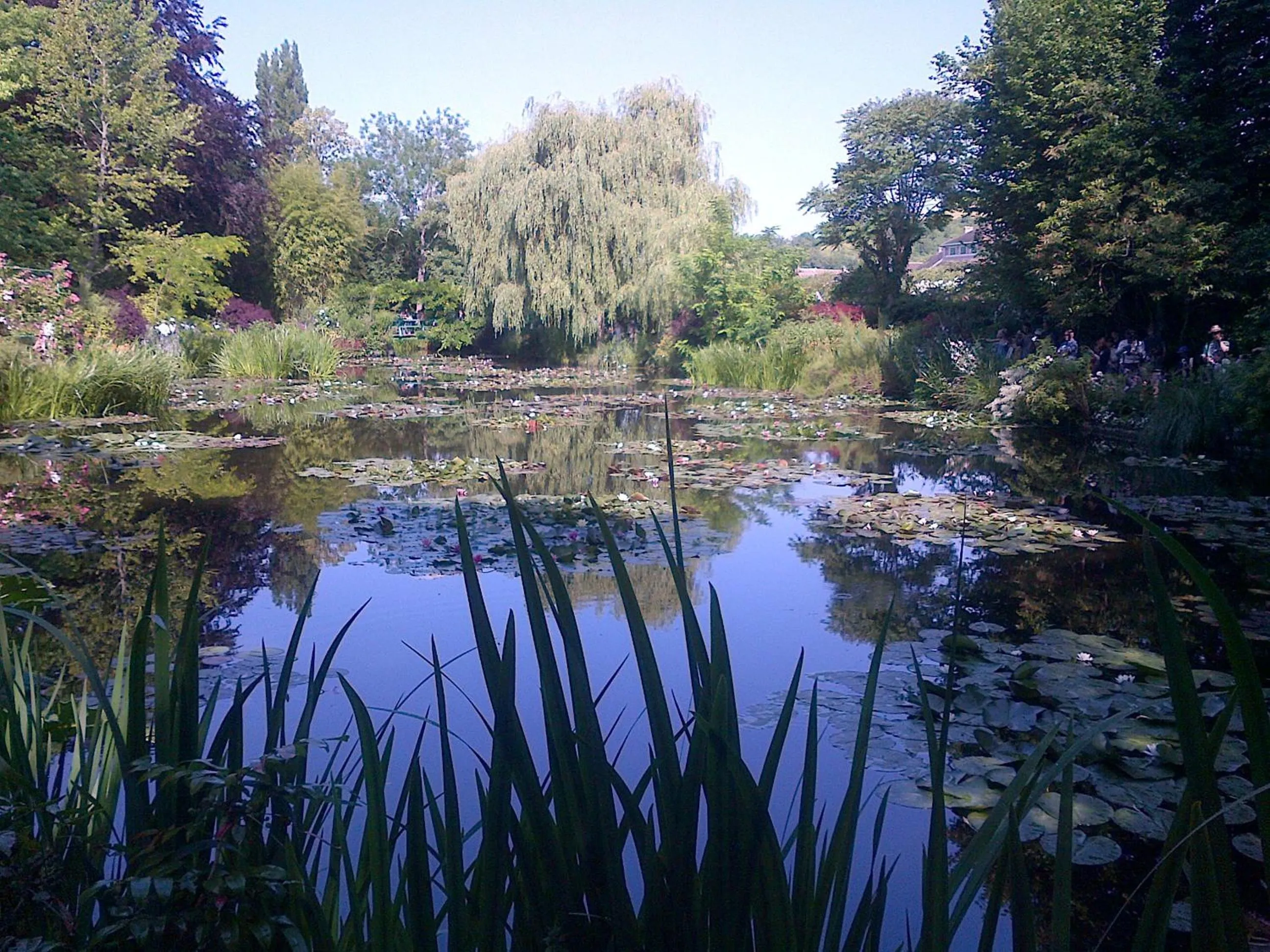 Garden in Forest Farm