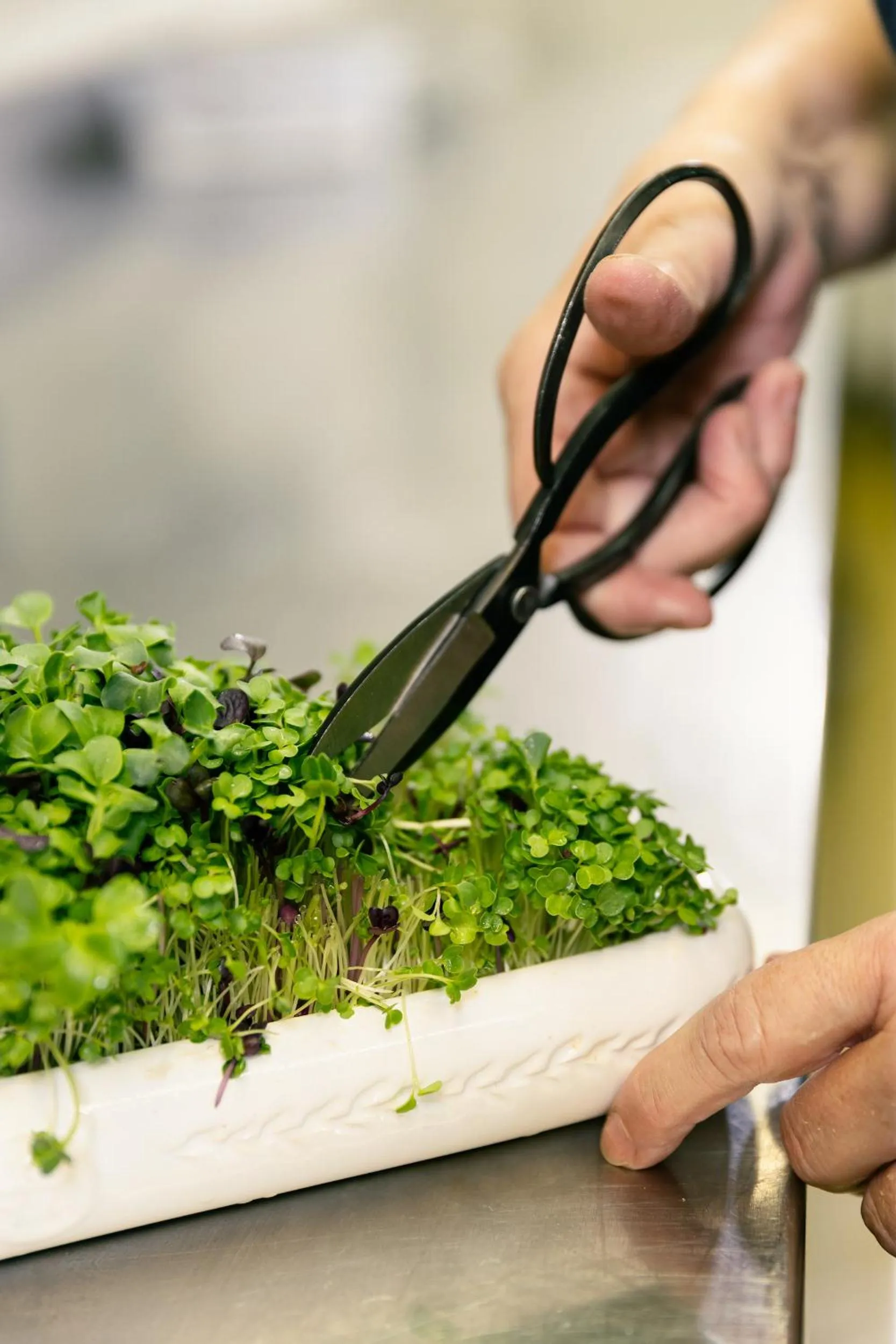 Food close-up in Evident Hotel Prägant 4-Superior