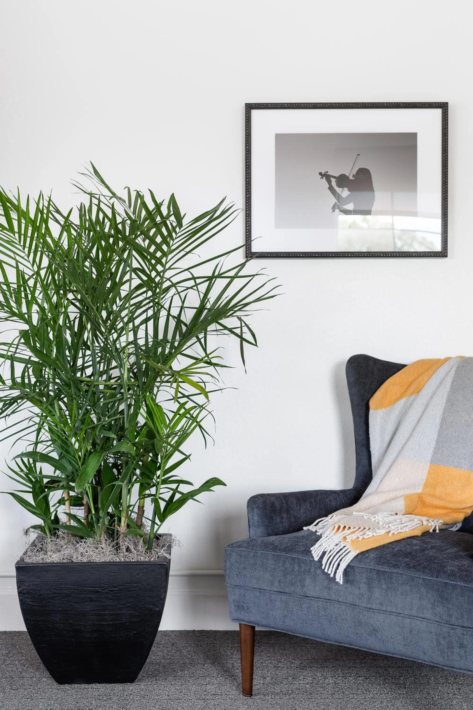 Decorative detail in Elwood Hotel & Suites