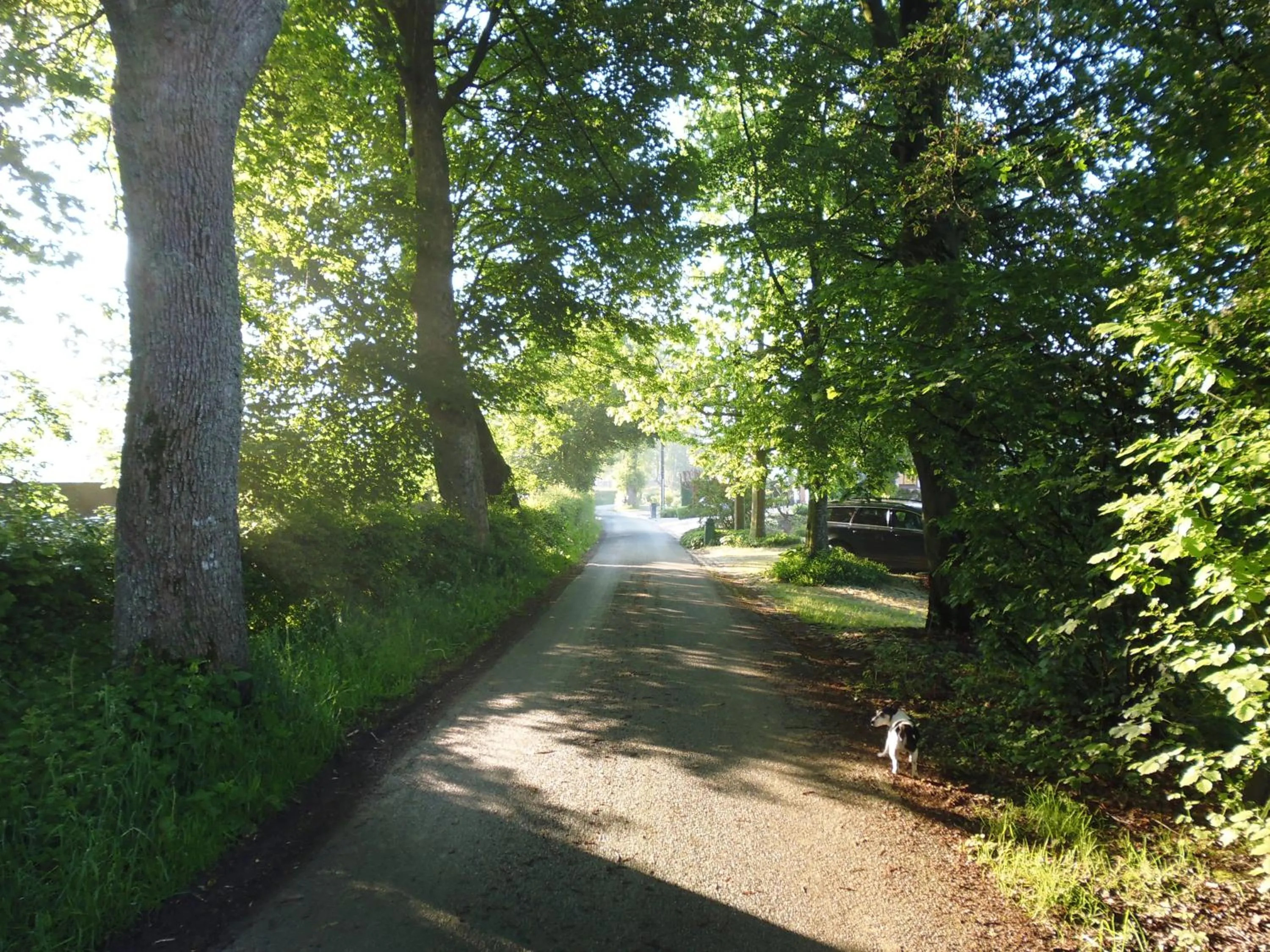 Street view in B&B V.K. PGmbH