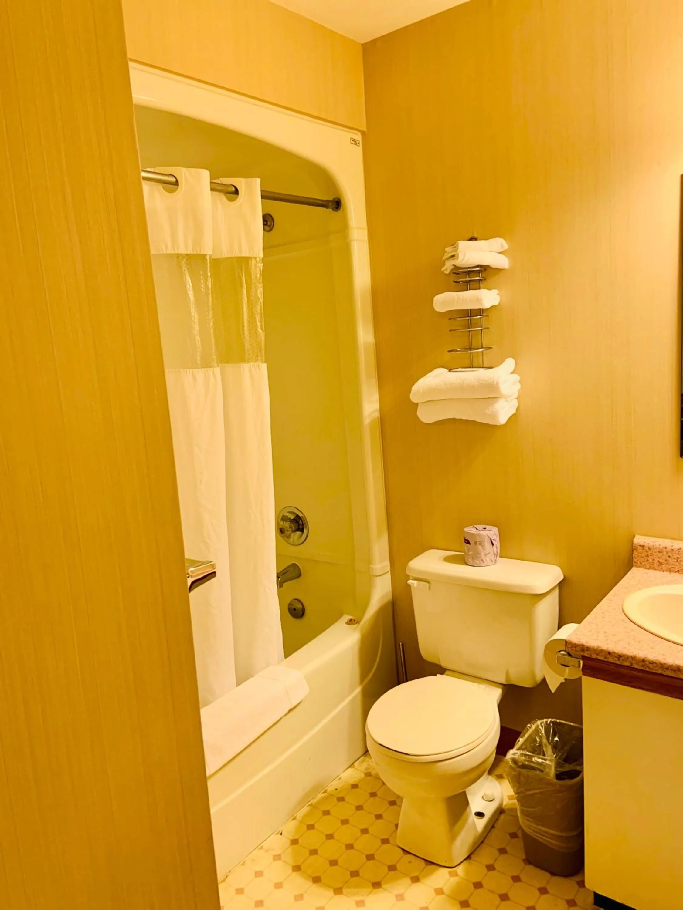 Bathroom in Green Acres Motel