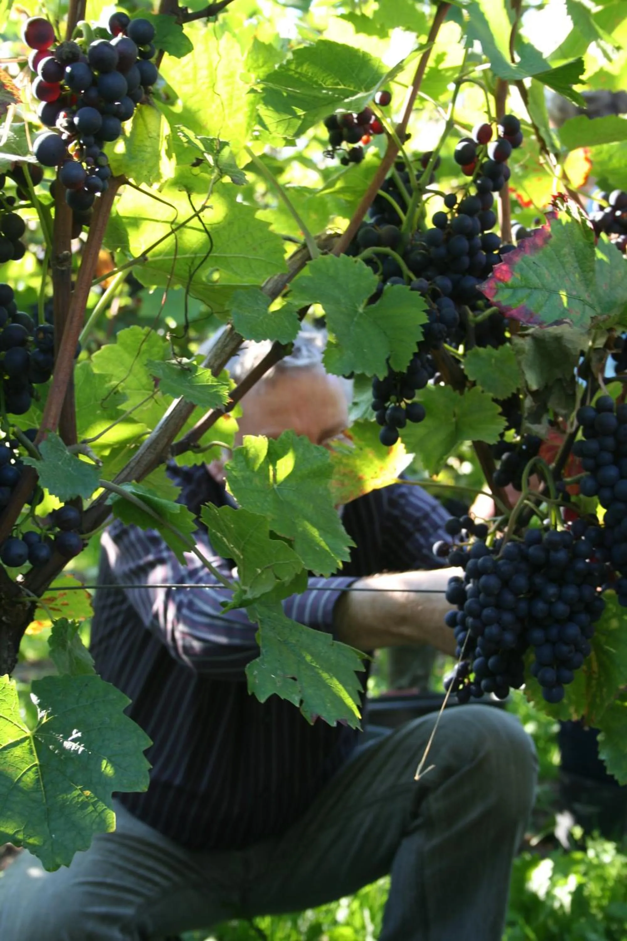 People in Hotel Filla Andre