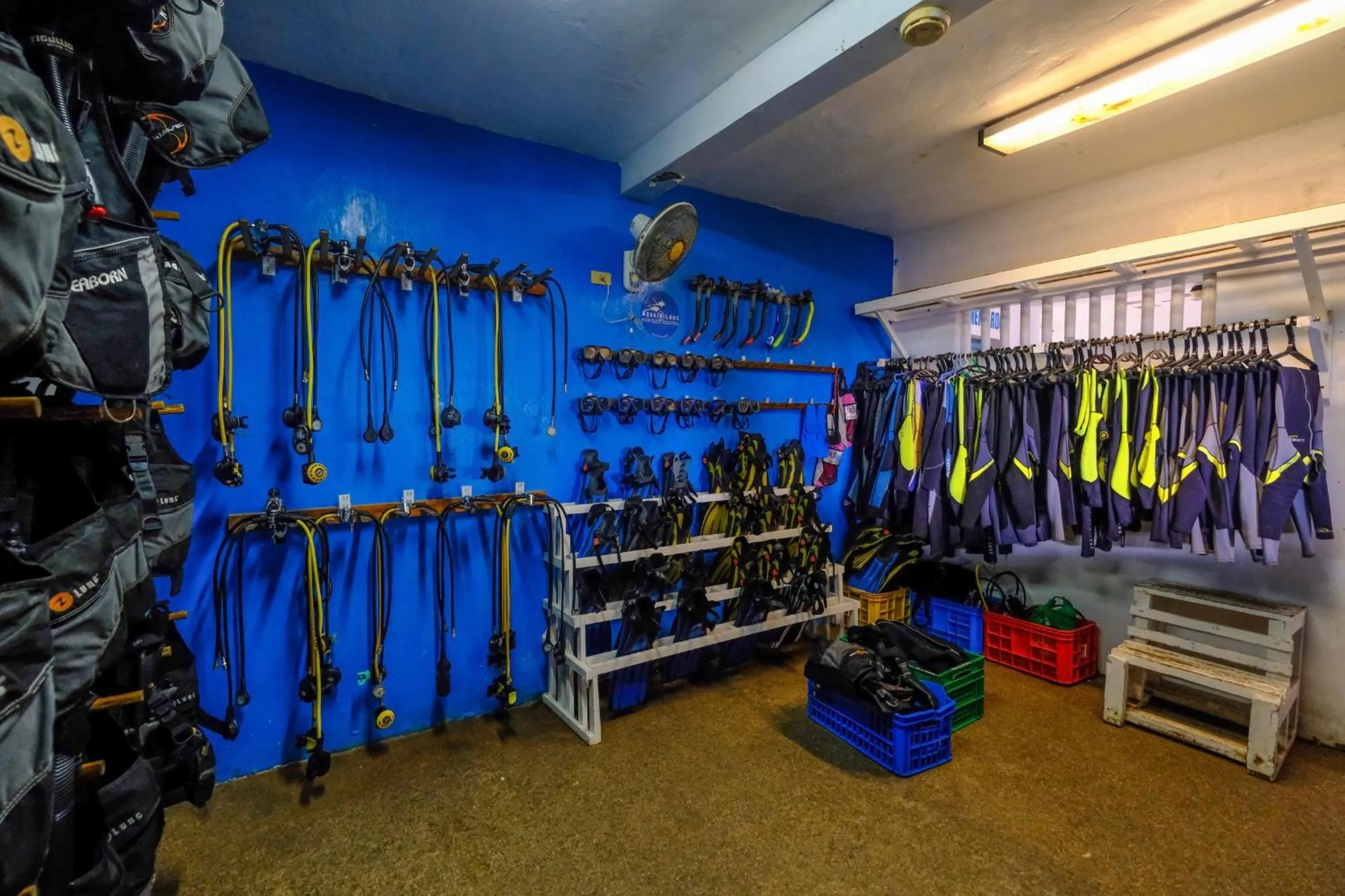 Diving in Malapascua Exotic Island Dive Resort