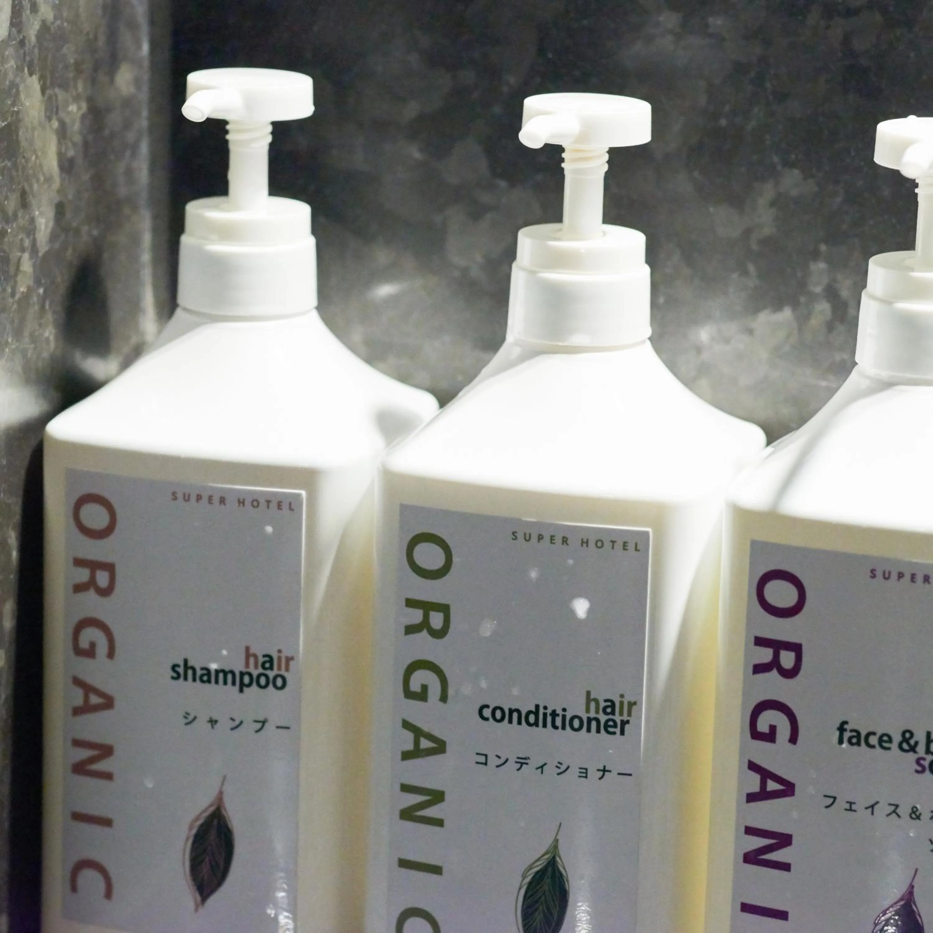 Super Hotel Fujikawaguchiko Tennenonsen