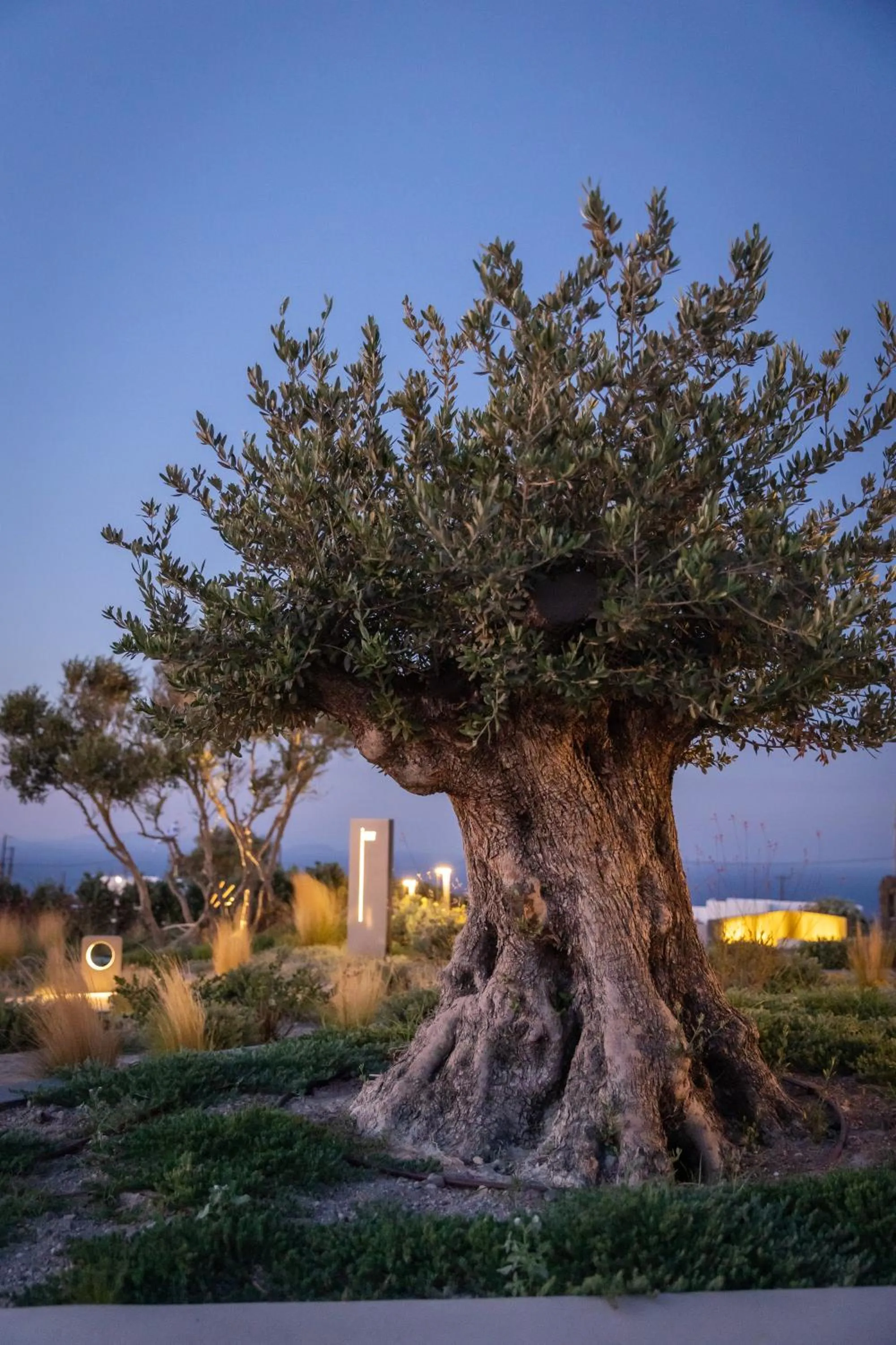 Natural landscape in Divine Cave Experience