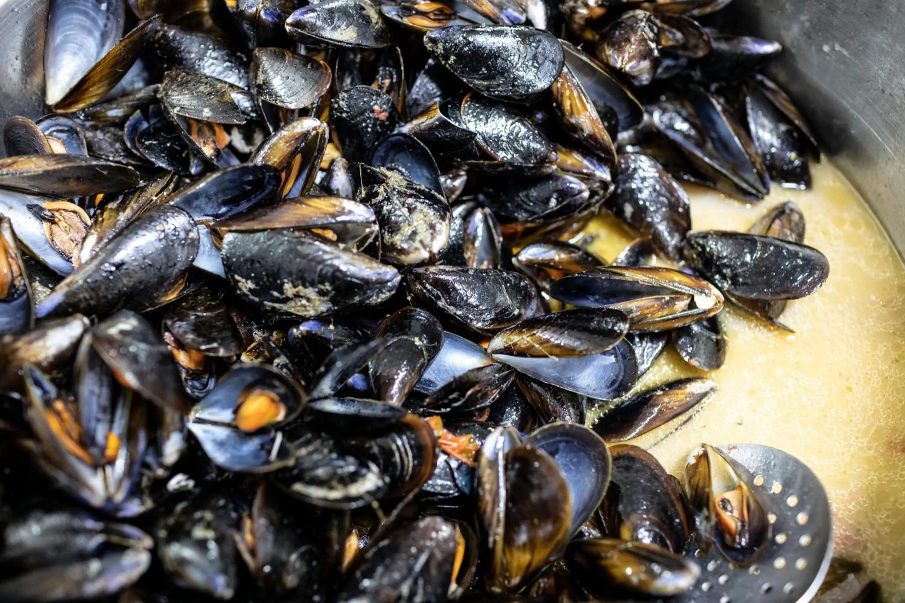 Hotel La Fattoria Sul Mare