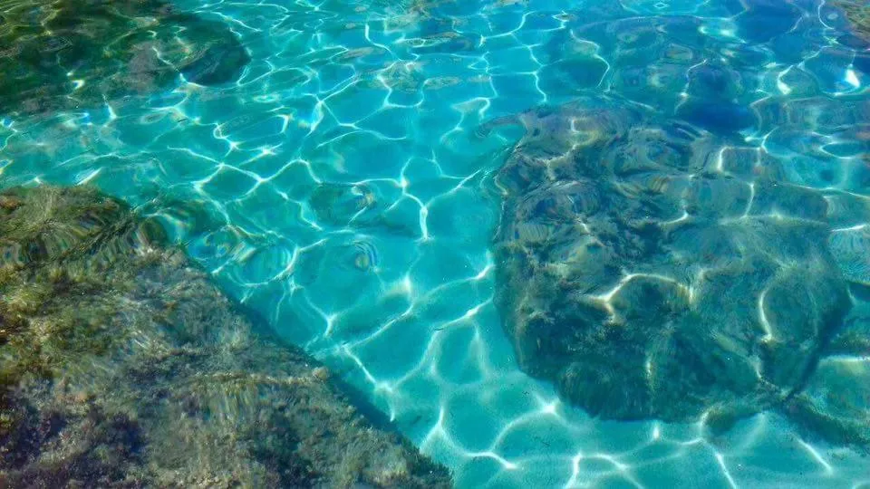 Beach in Hotel La Fattoria Sul Mare