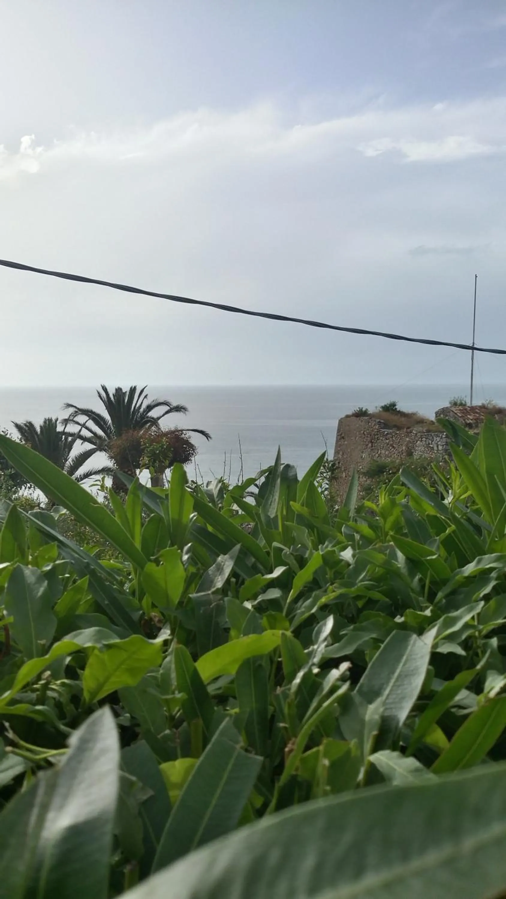View (from property/room) in Hotel La Fattoria Sul Mare