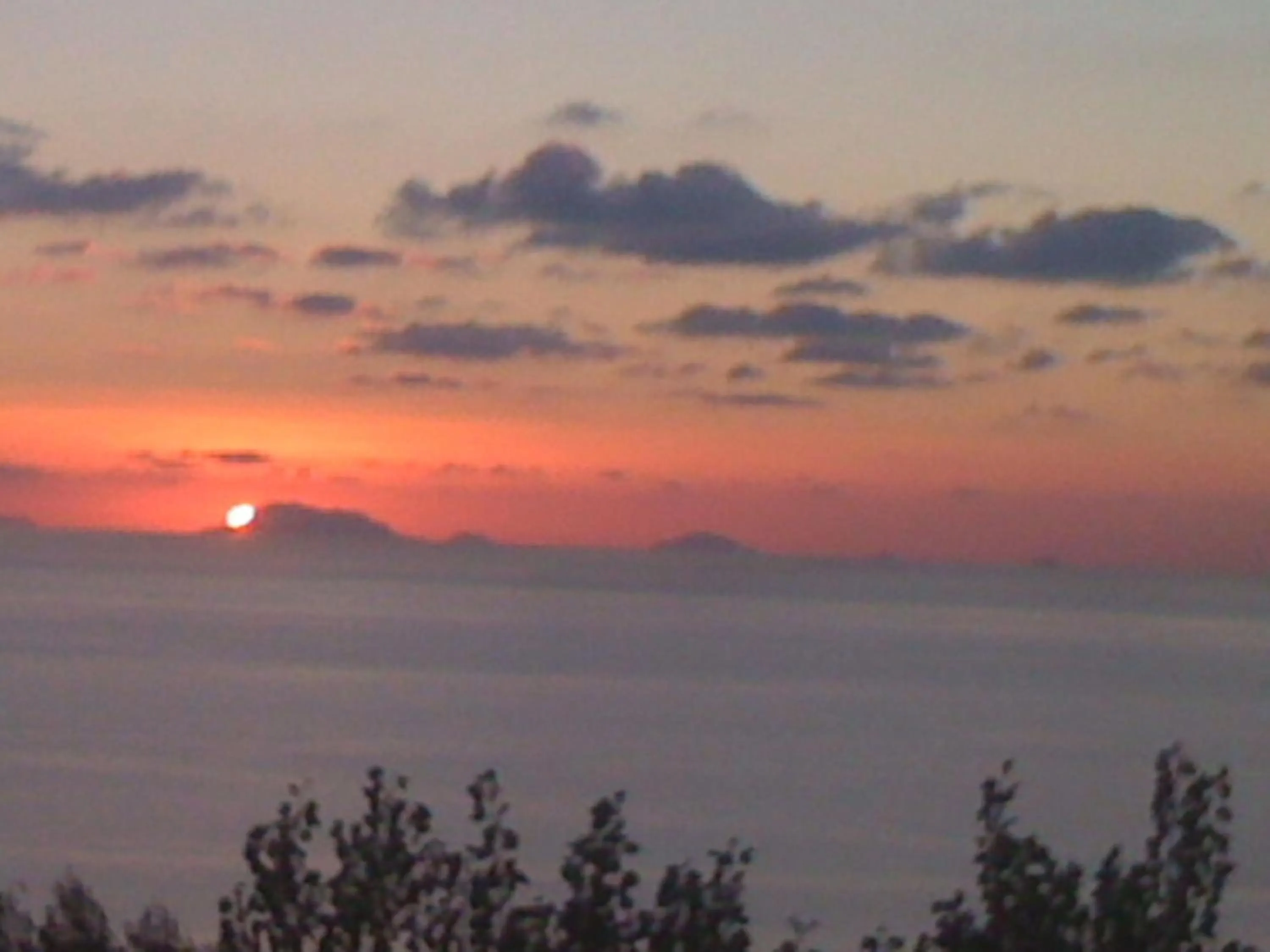 Photo of the whole room in Hotel La Fattoria Sul Mare