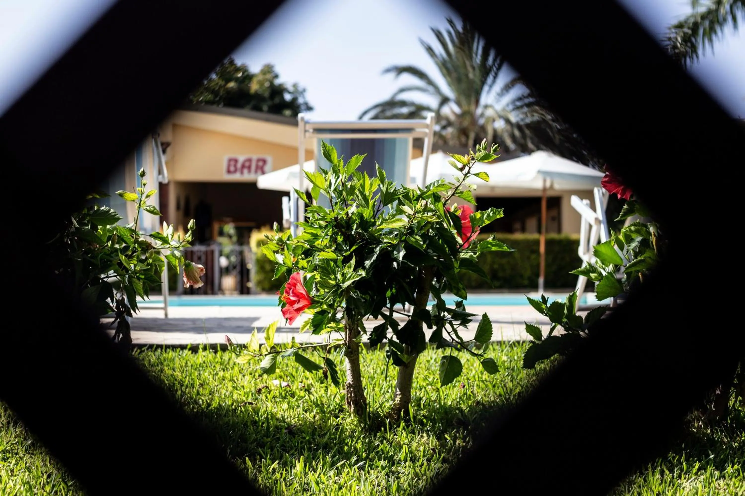 Hotel La Fattoria Sul Mare