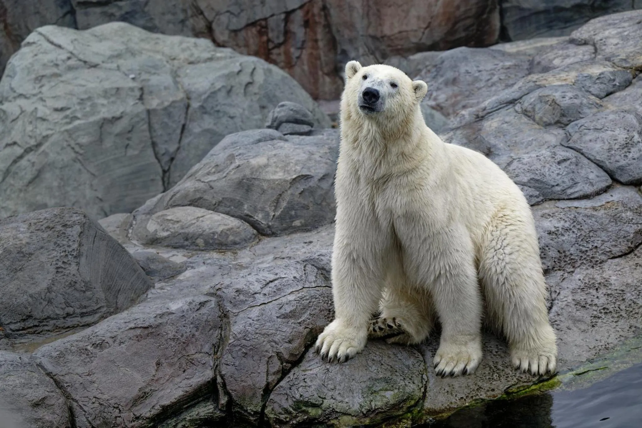 Nearby landmark in Holiday Inn Express and Suites Calgary University by IHG