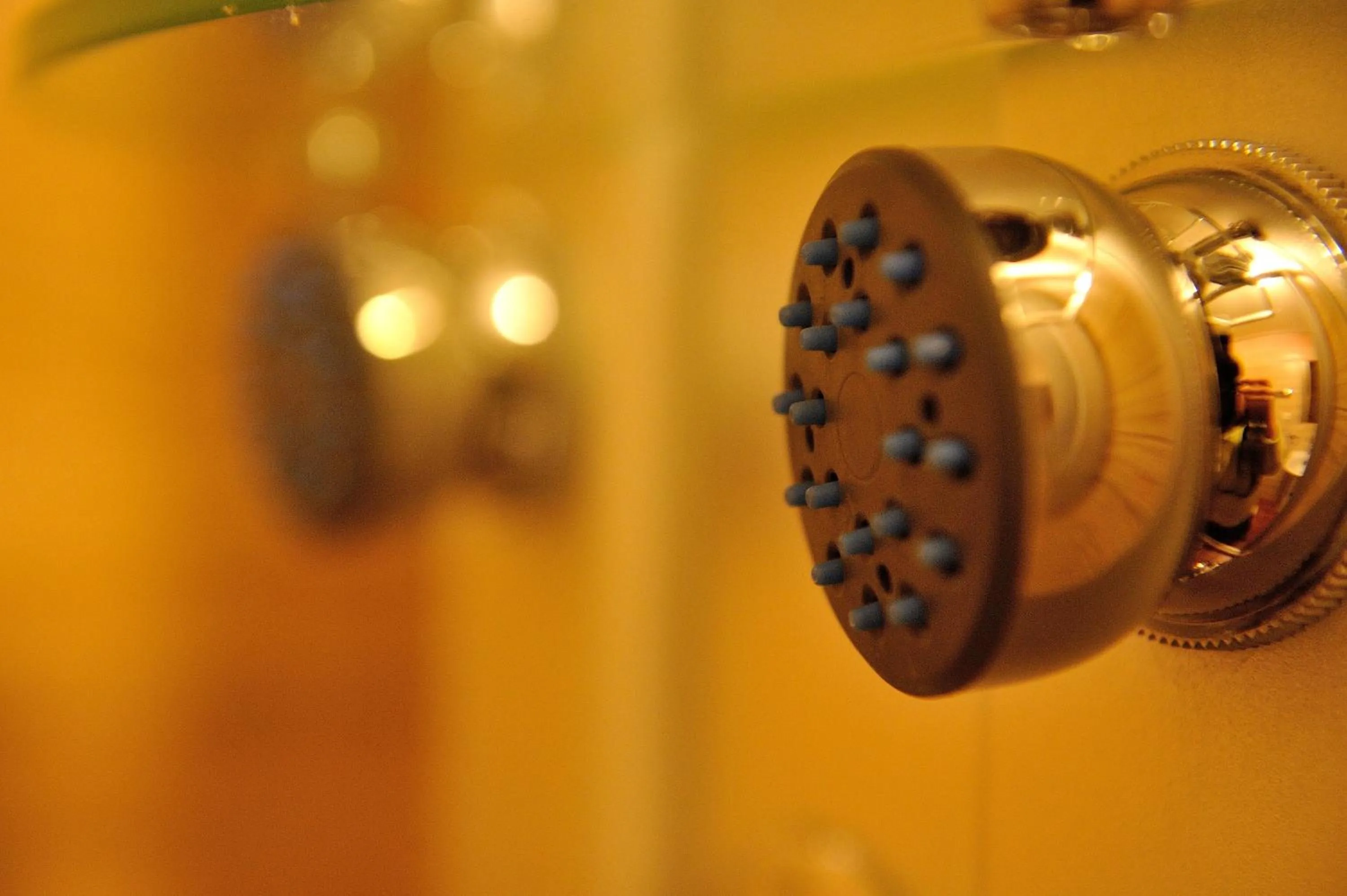 Decorative detail in Tambo del Solar