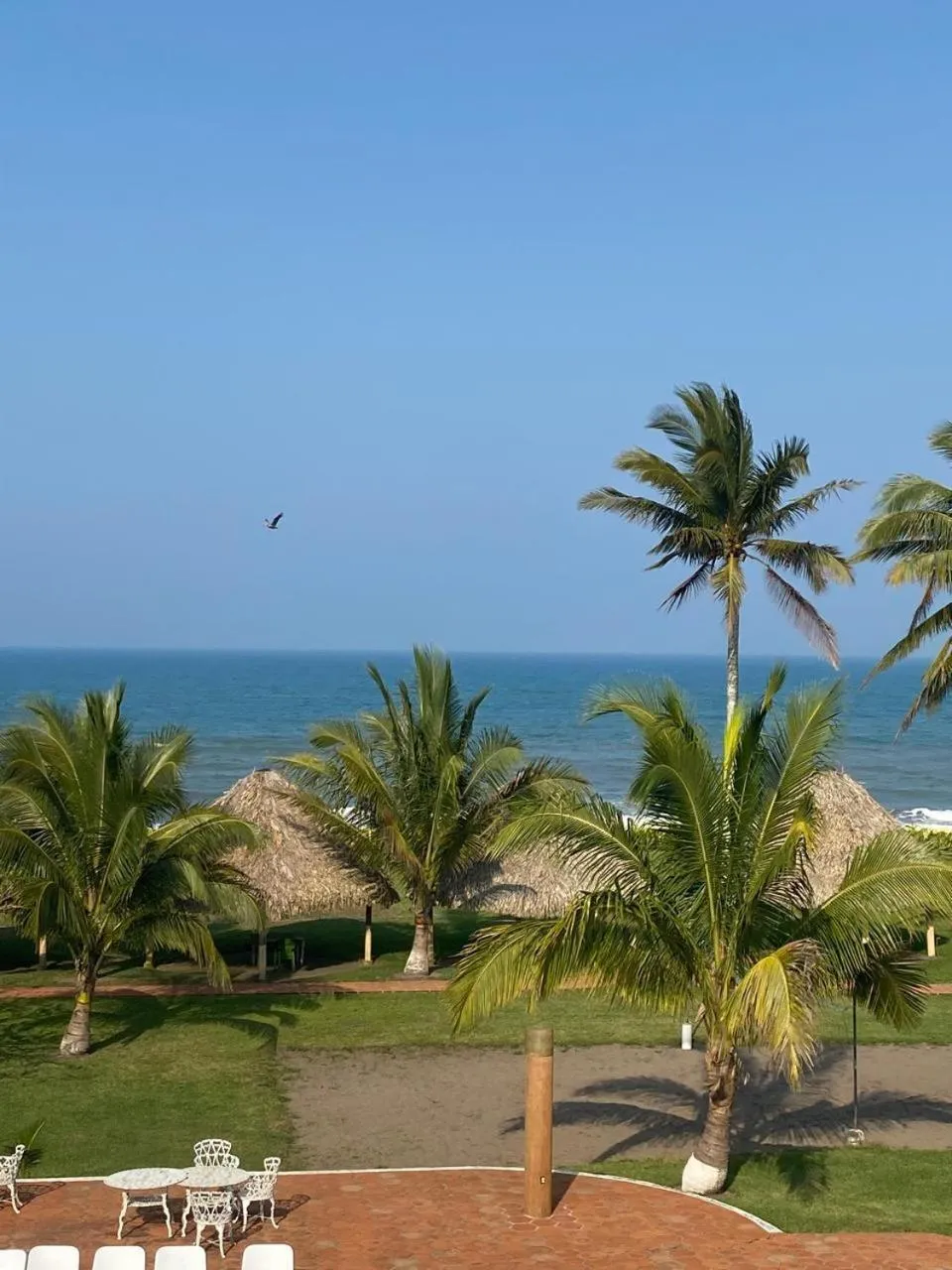 Garden in Hotel Torre Molino