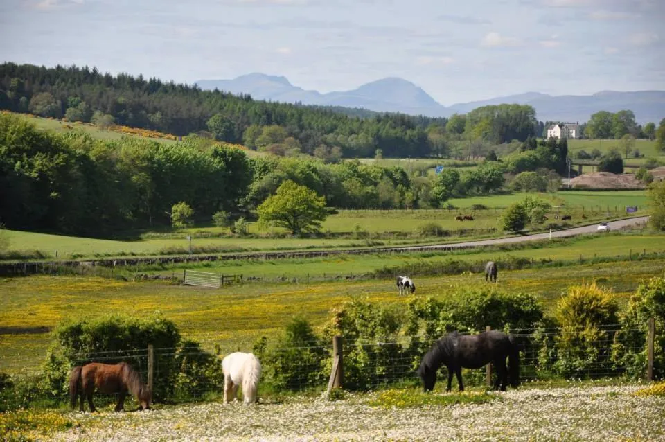 Natural landscape in Wellsfield Farm Holiday Lodges