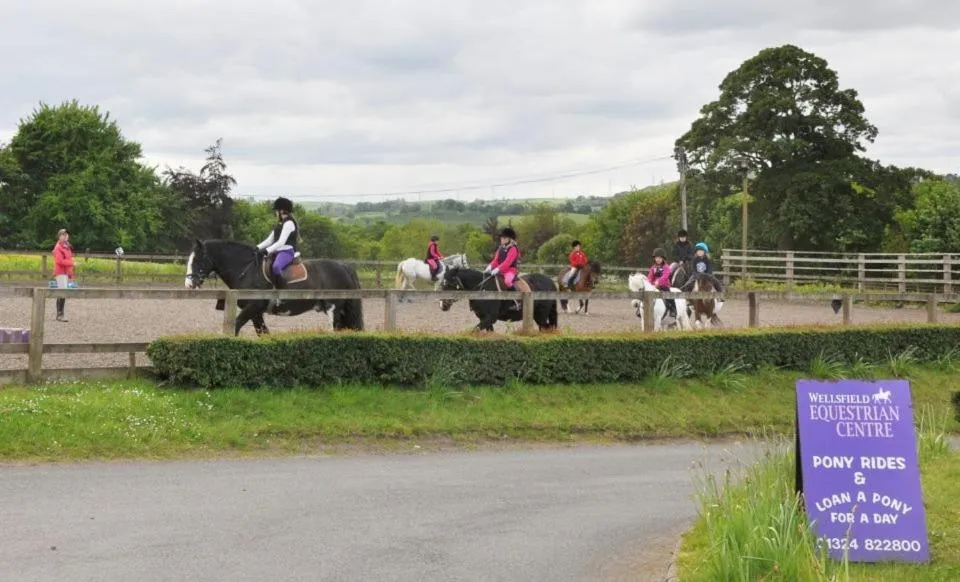 Horse-riding in Wellsfield Farm Holiday Lodges