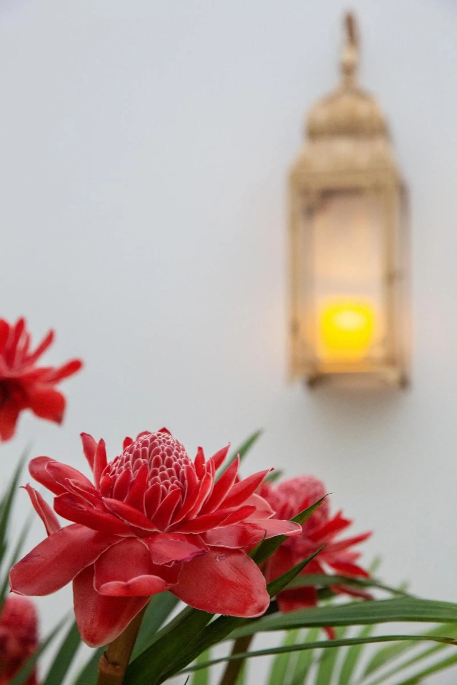 Decorative detail in Tembo Beach Club & Resort