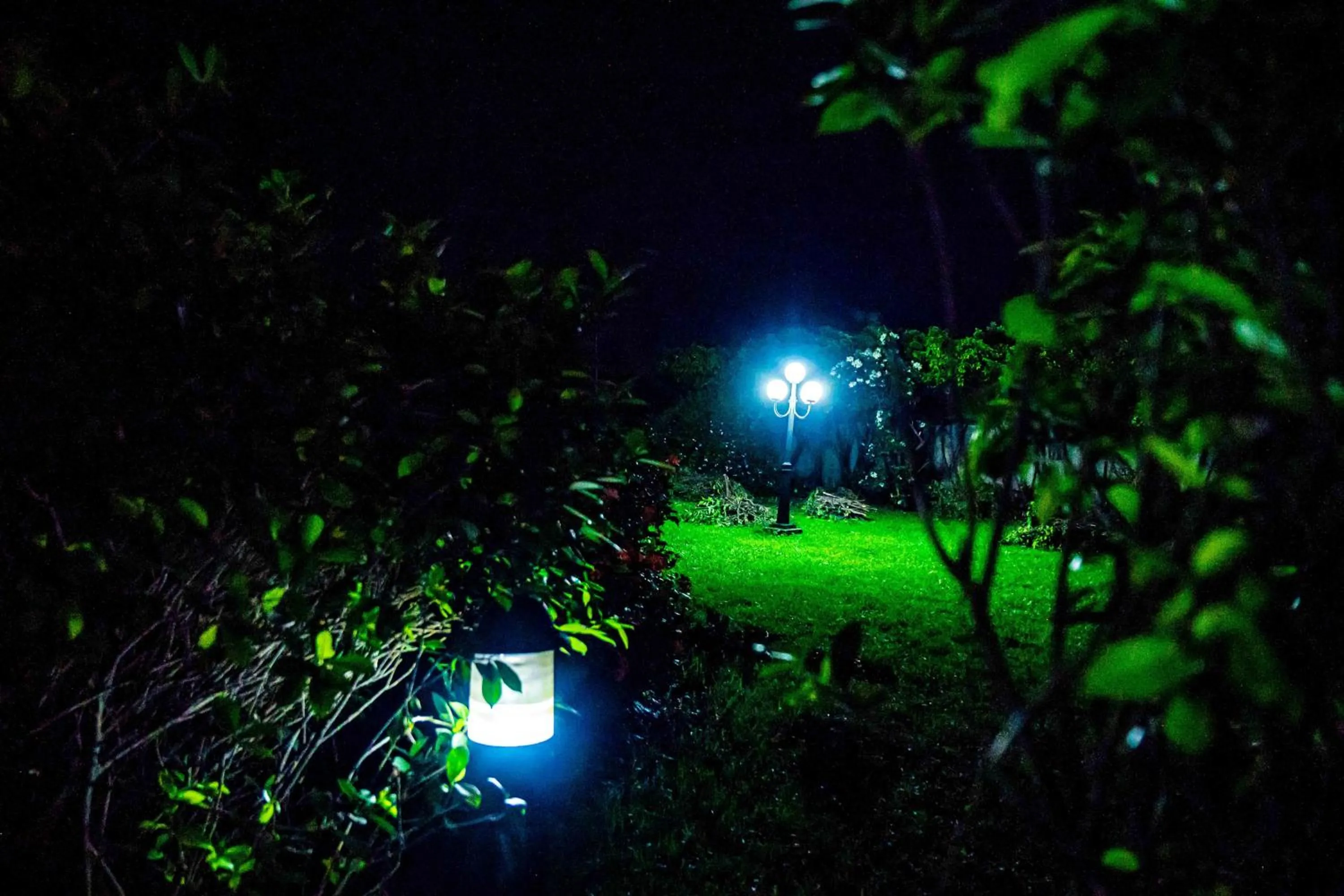 Gordonsville Escape Boutique Hotel