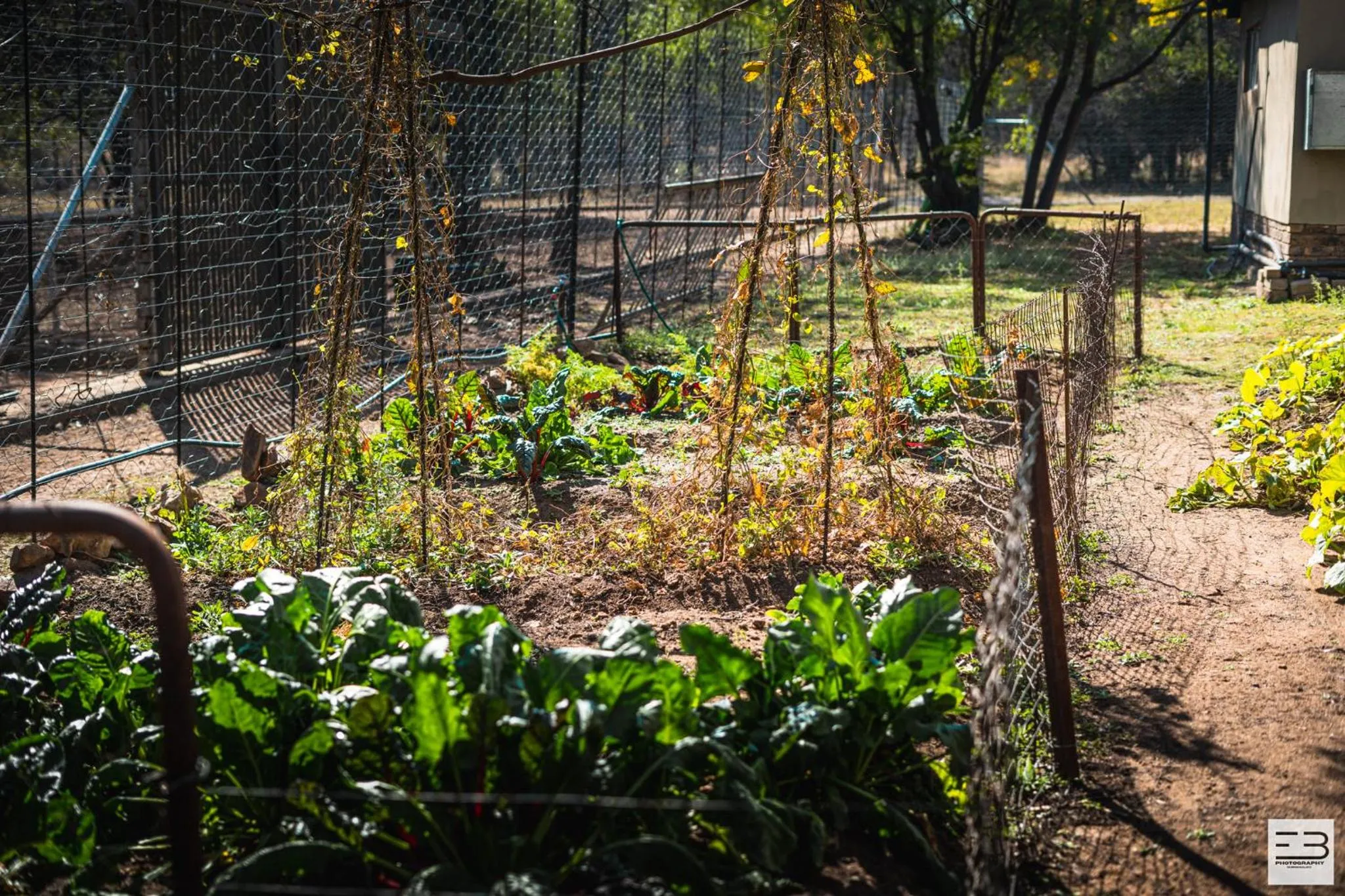 Garden view in Geluksfontein Private Game Farm