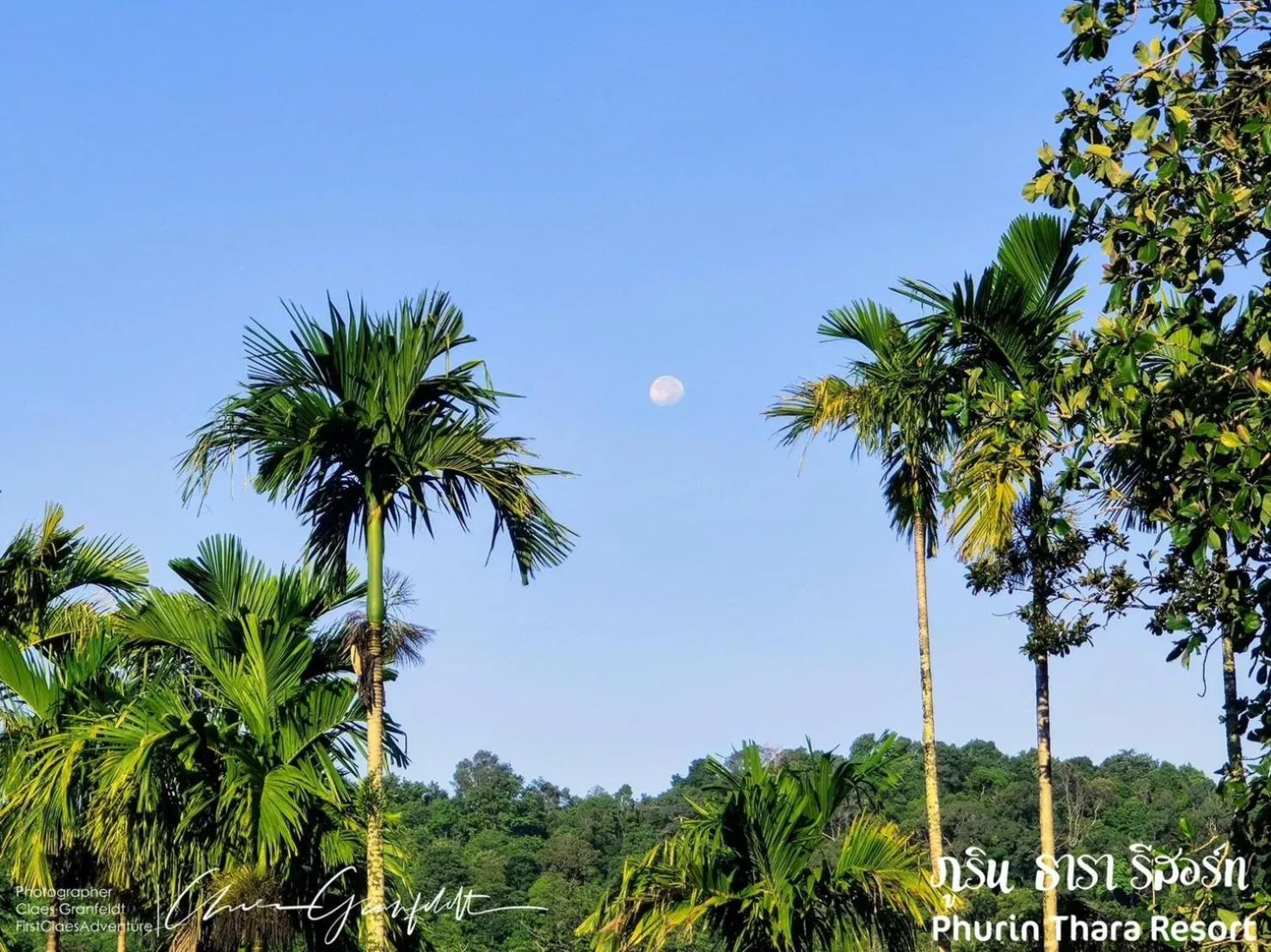 View (from property/room) in Phurin Thara Resort