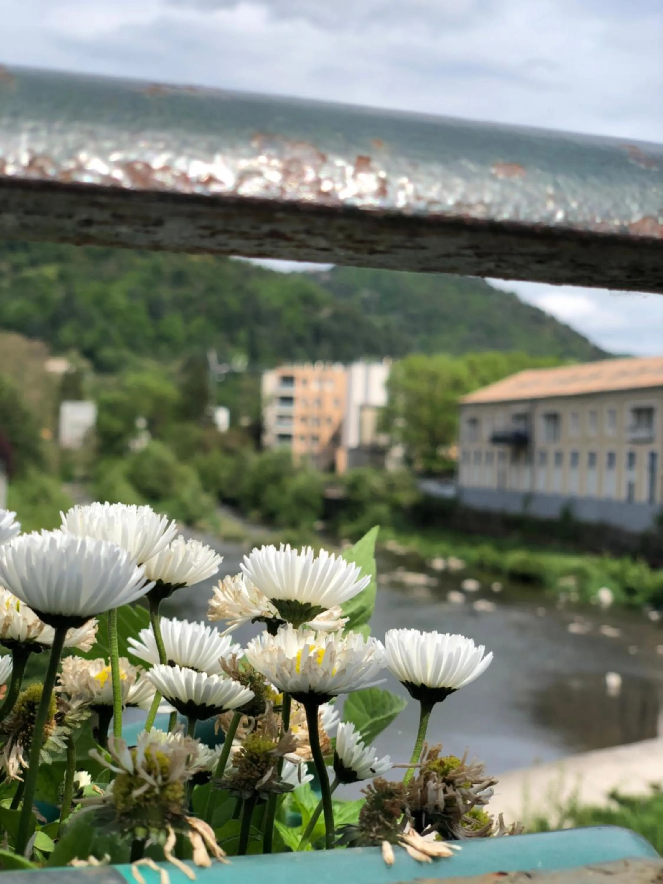 Natural landscape in Grand hôtel de l'Europe