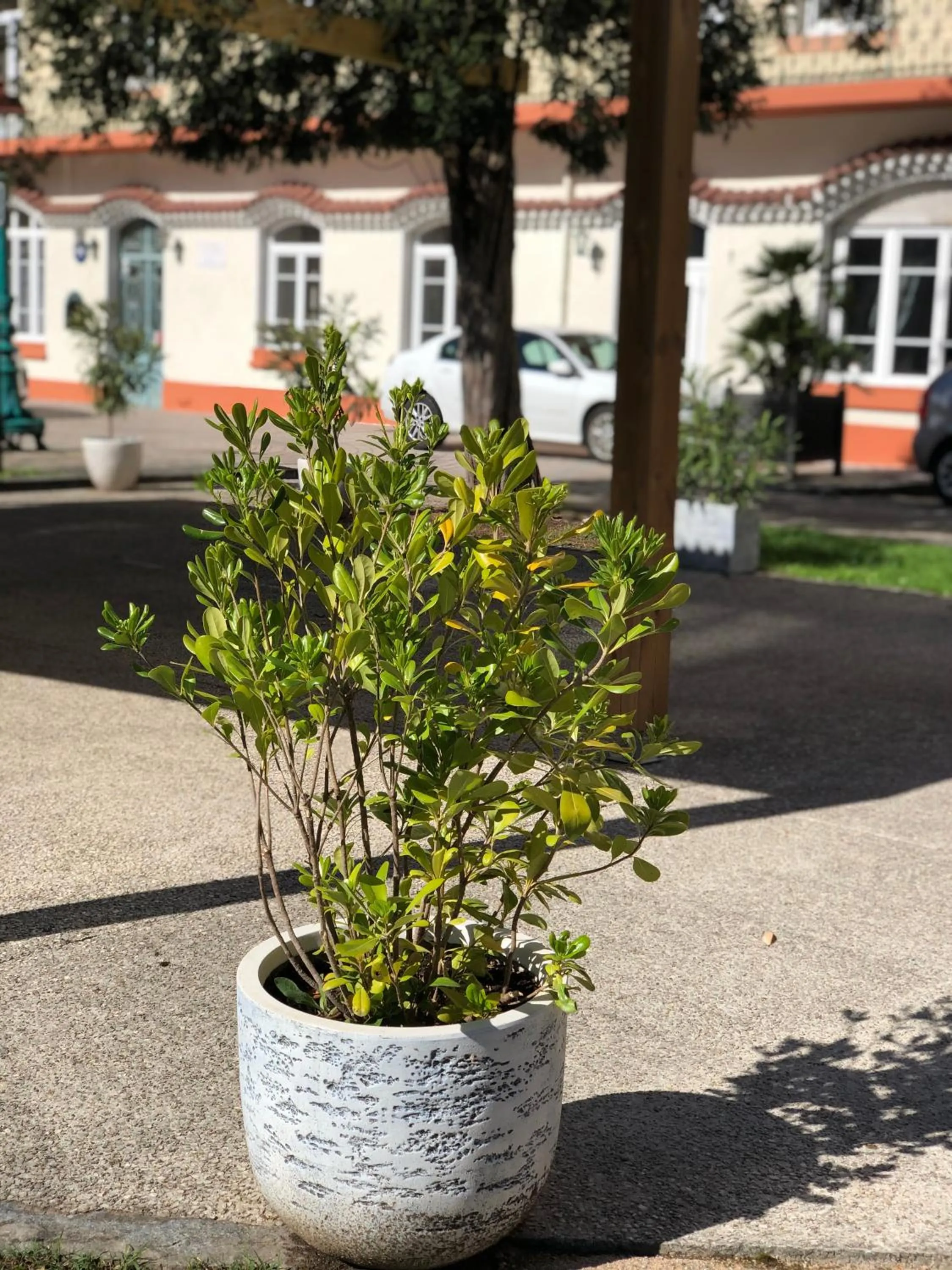 Spring in Grand hôtel de l'Europe