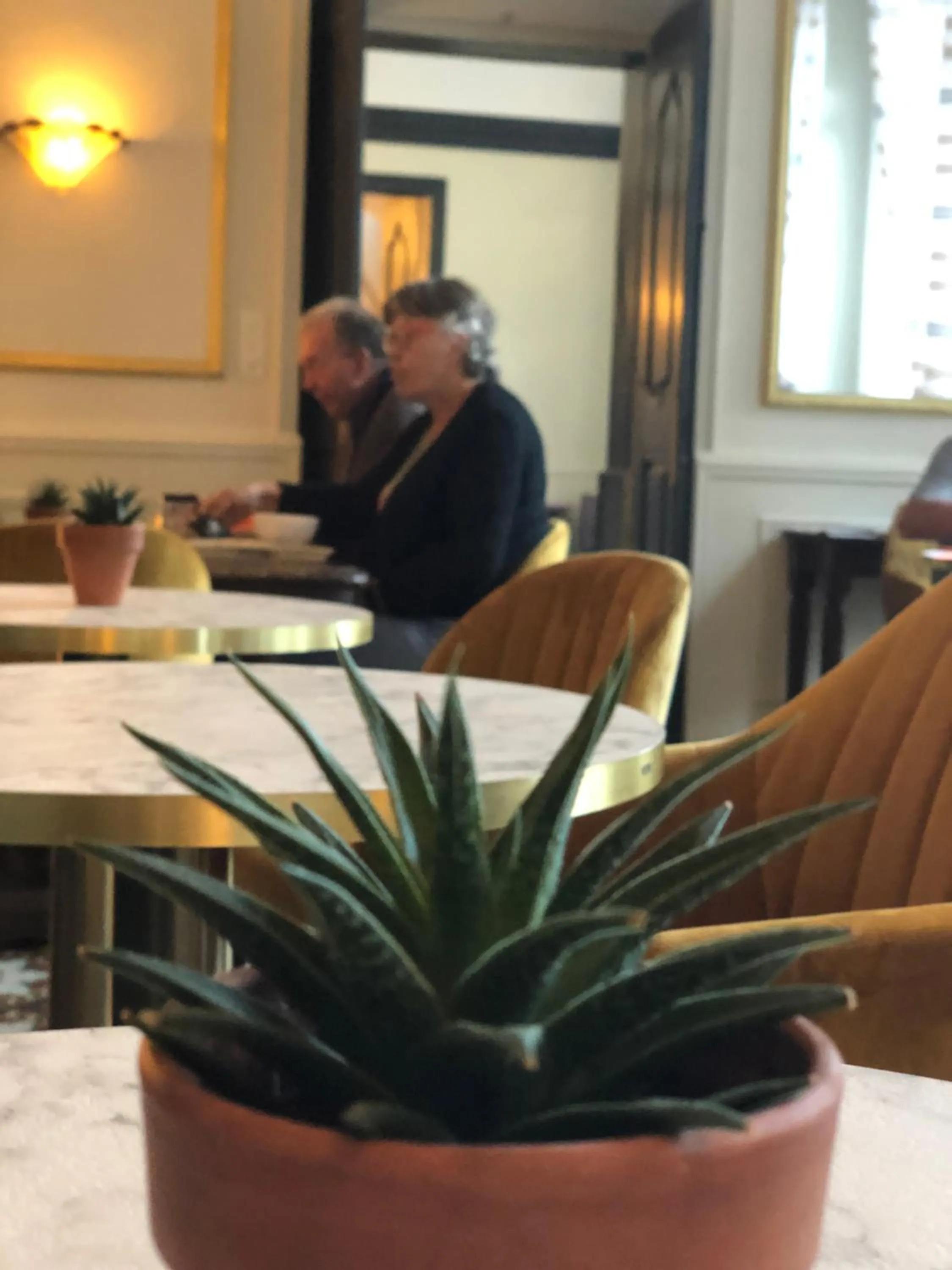 Banquet/Function facilities in Grand hôtel de l'Europe