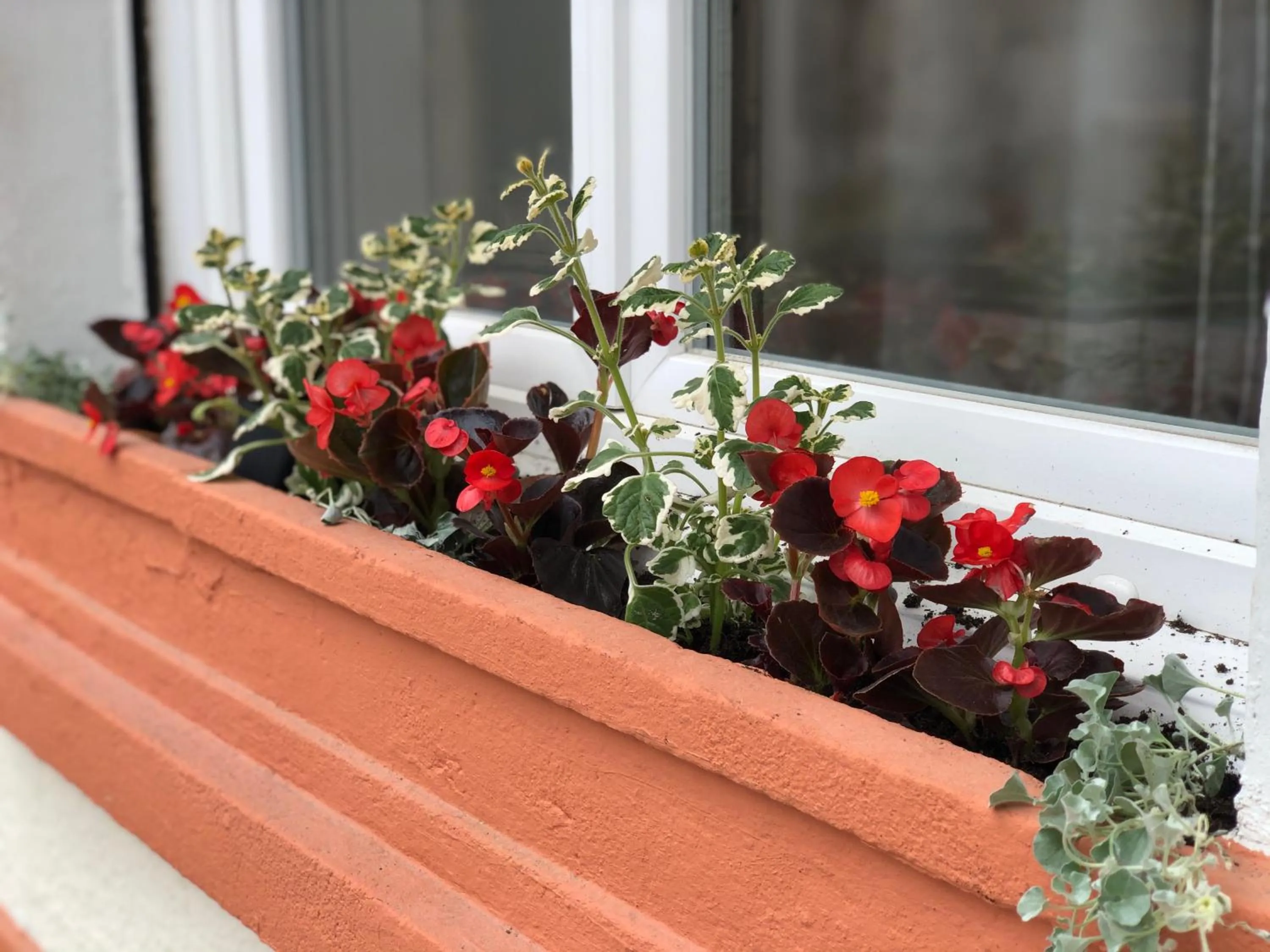 Spring in Grand hôtel de l'Europe