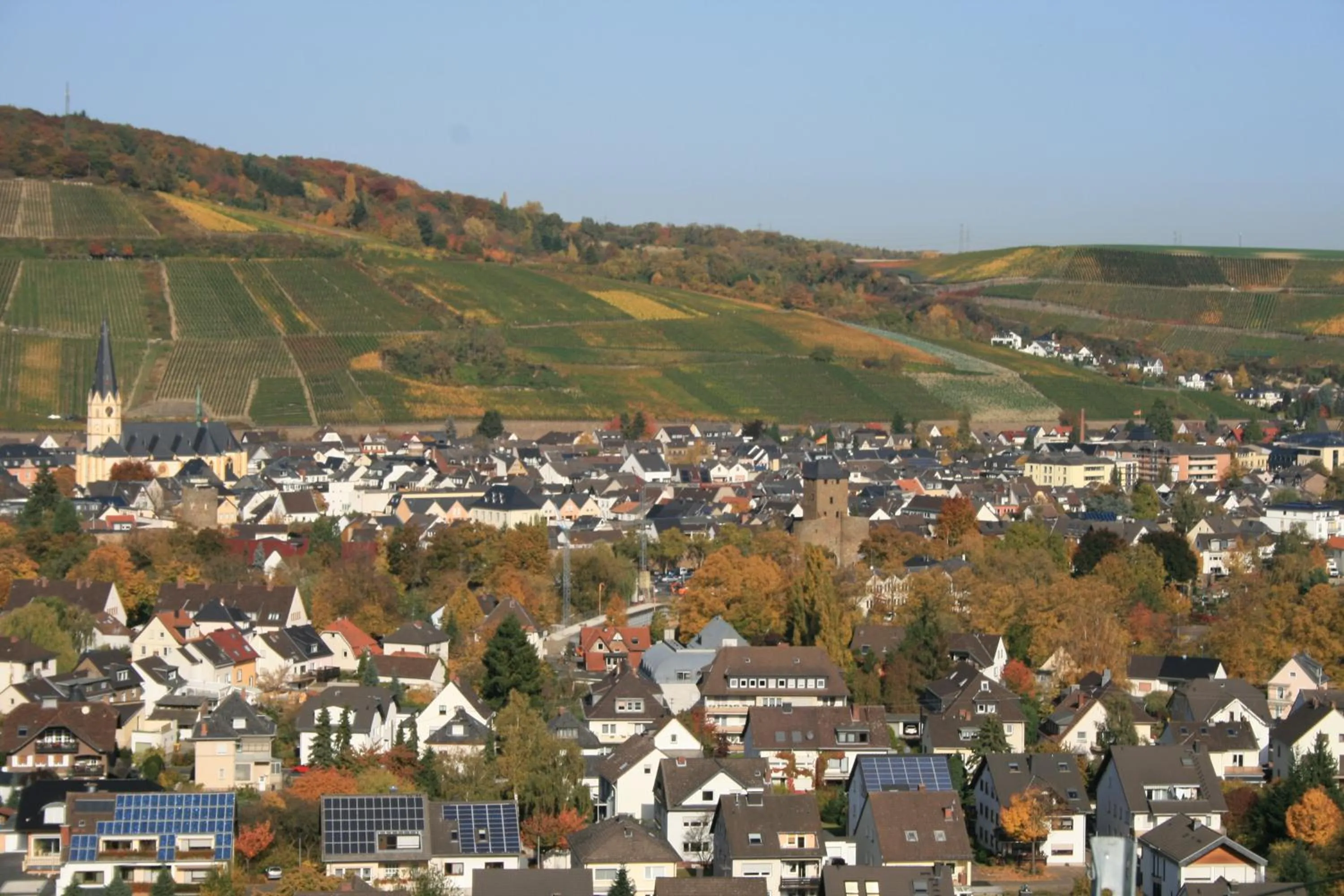 Area and facilities in Hotel Ännchen