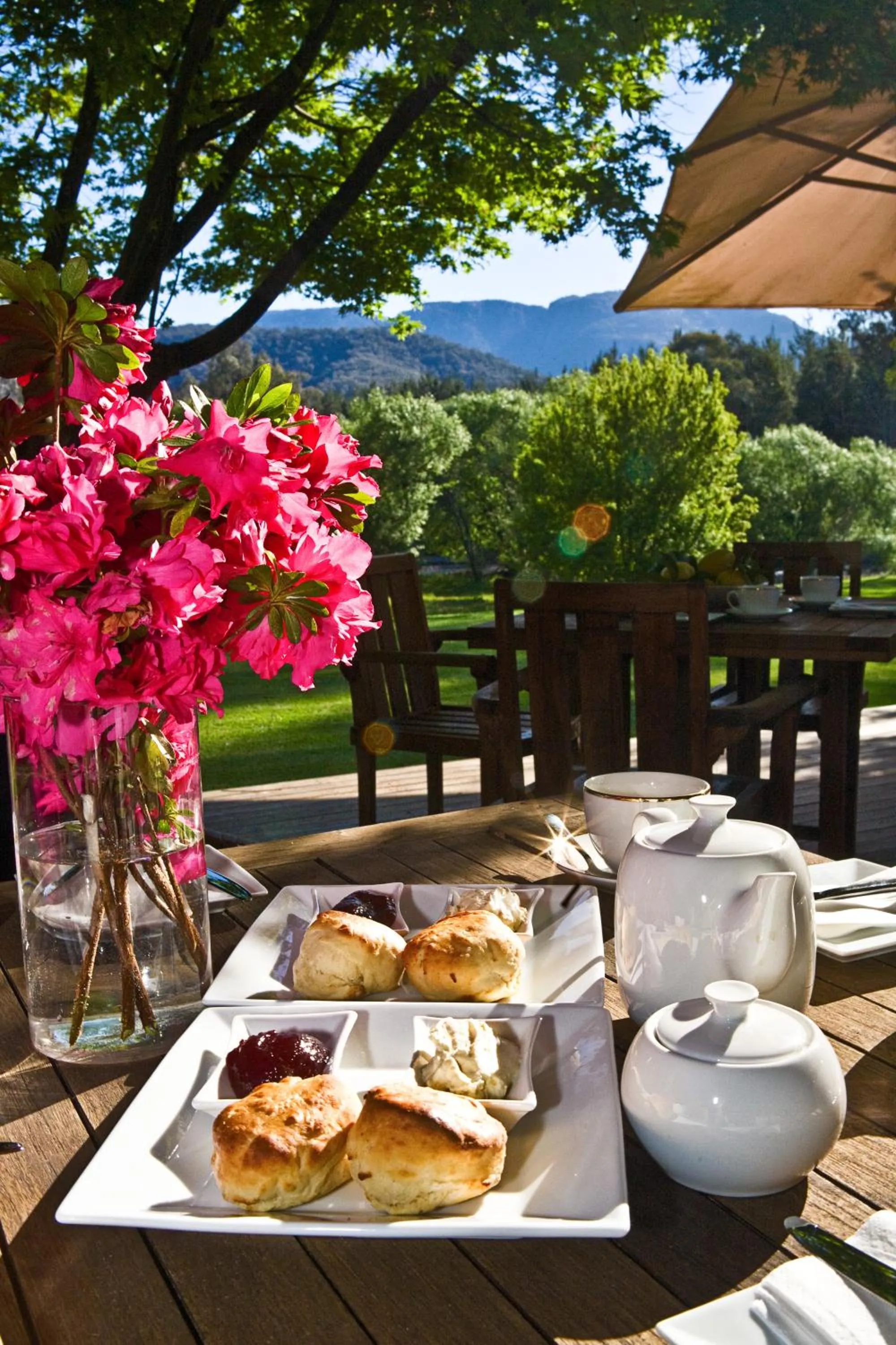 Balcony/Terrace in Buffalo Motel and Country Retreat
