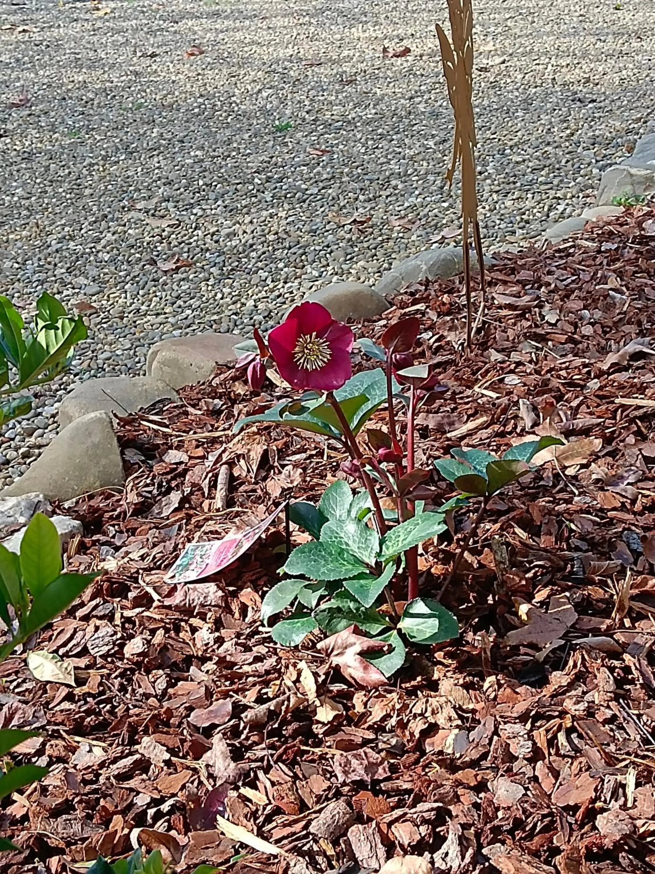 Garden in Buffalo Motel and Country Retreat
