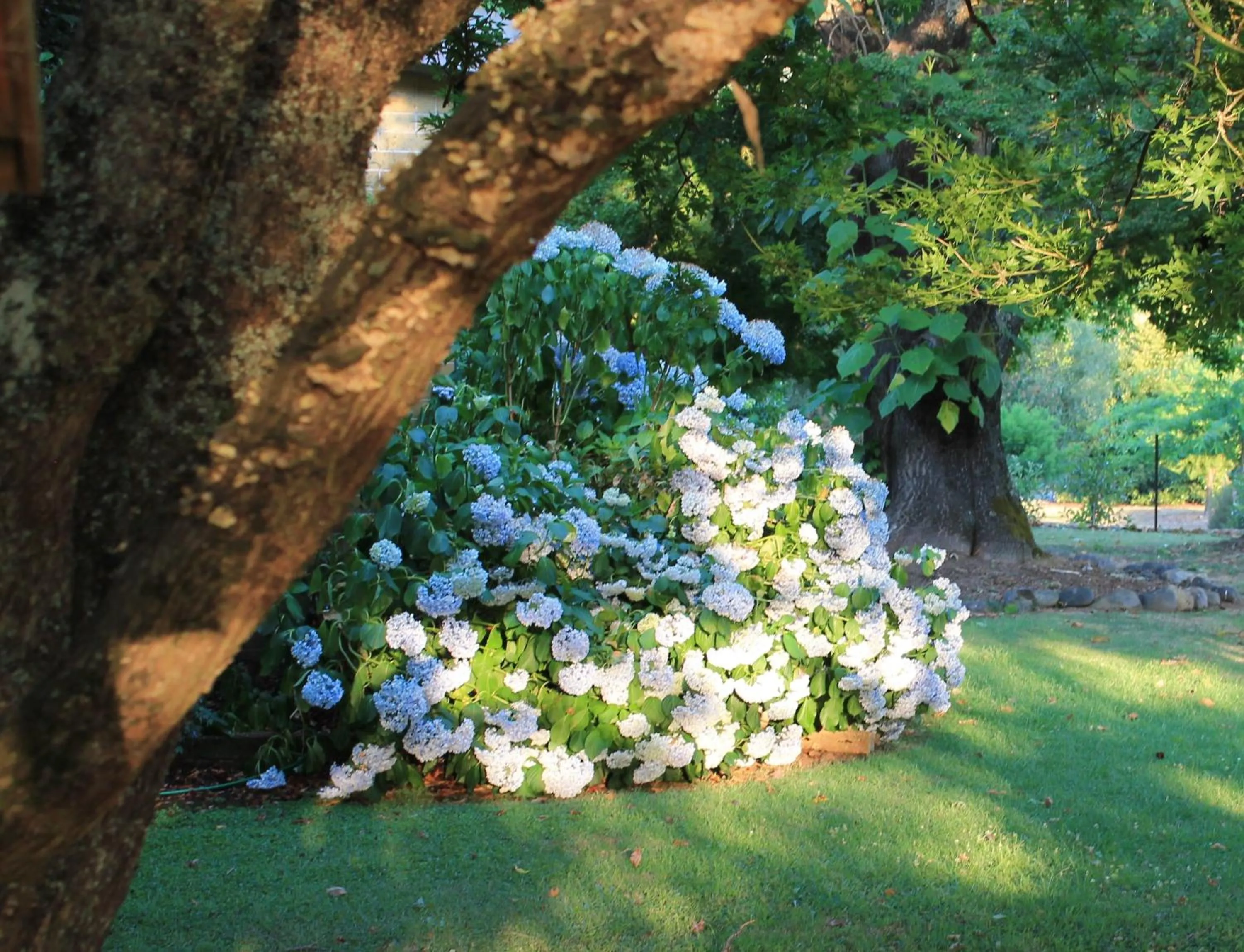 Garden in Buffalo Motel and Country Retreat