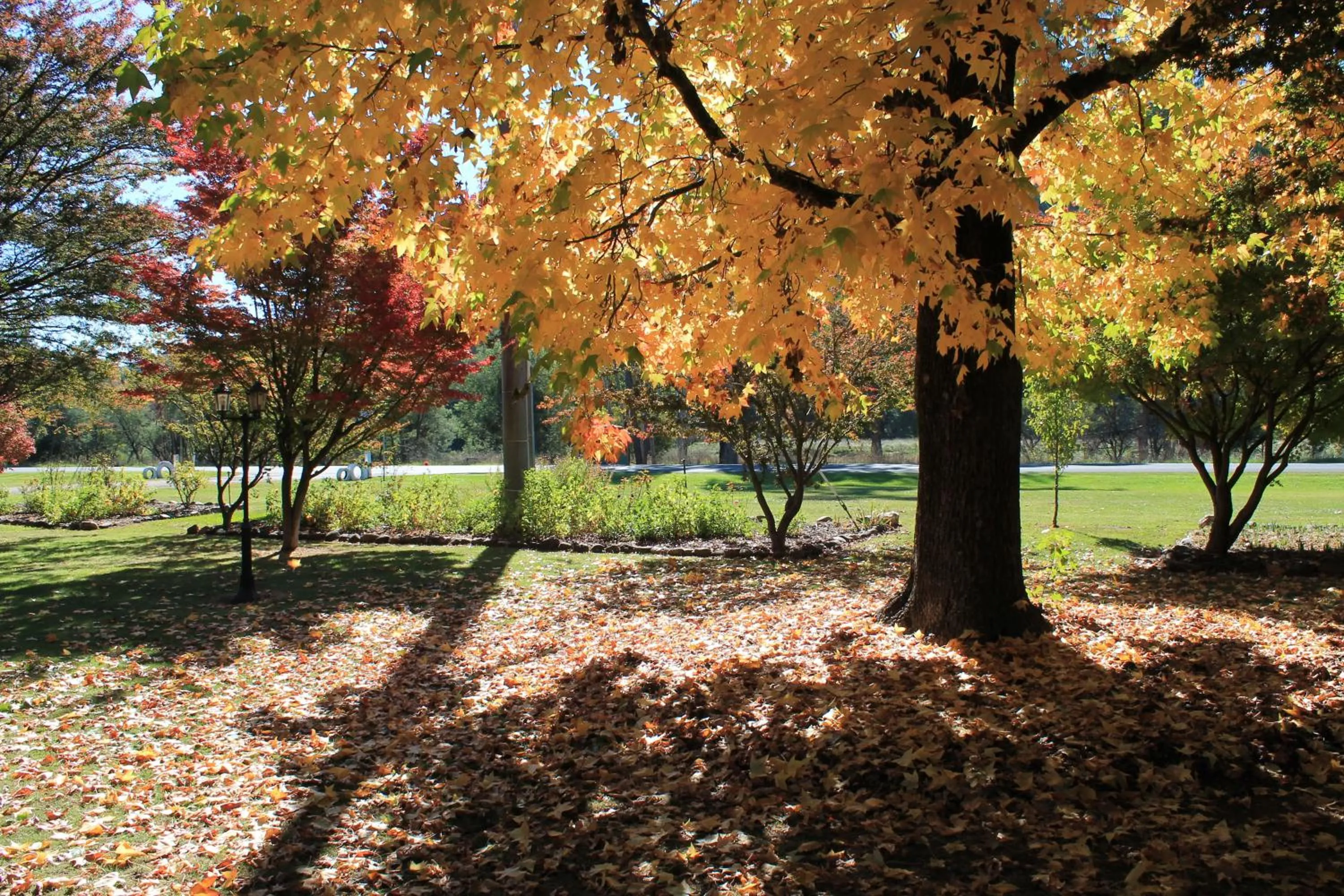 Garden in Buffalo Motel and Country Retreat