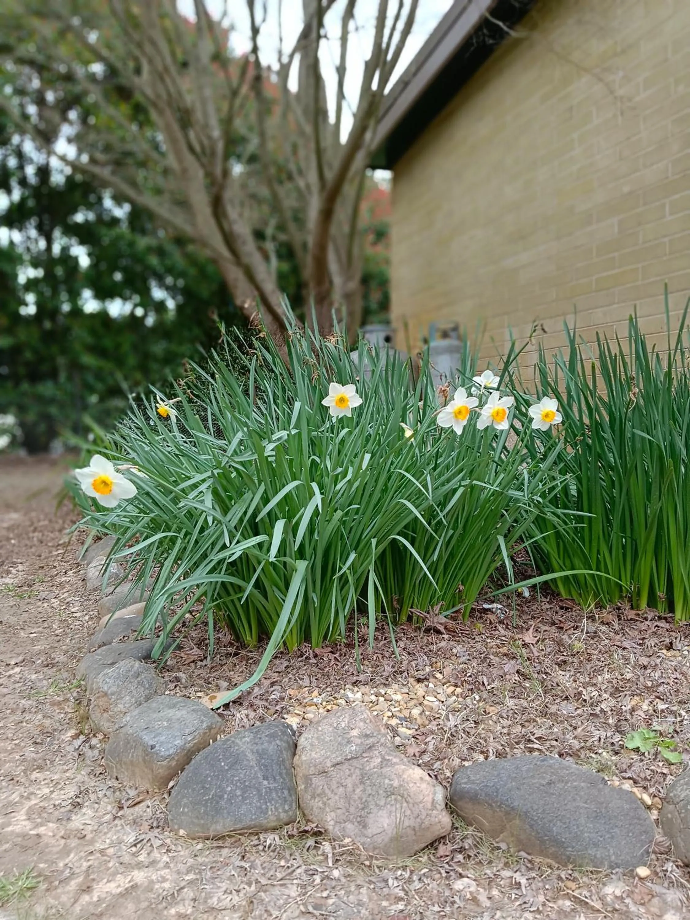 Garden in Buffalo Motel and Country Retreat