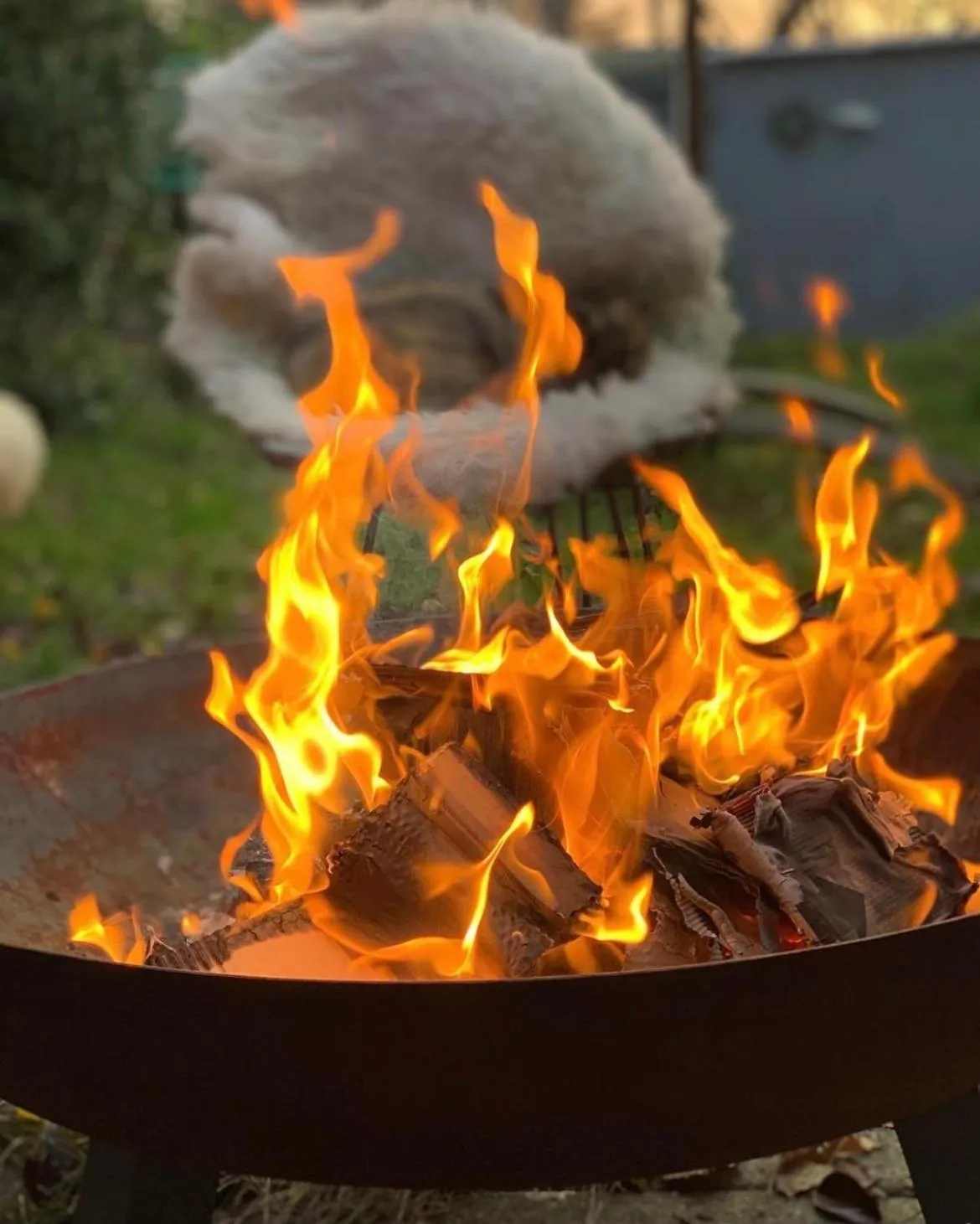 Amster Houseboat Bed without Breakfast
