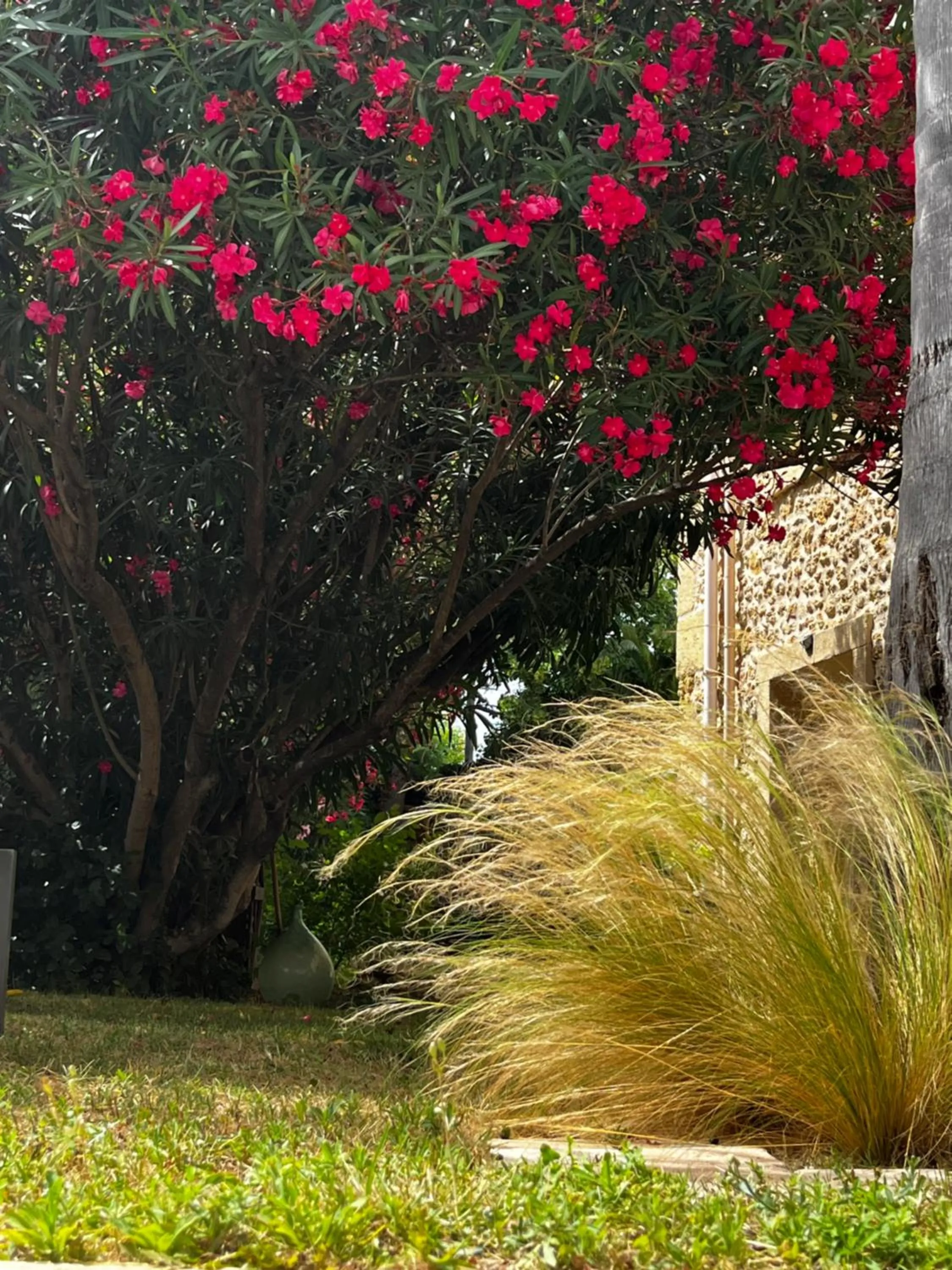 Chambres d'hôtes la Soulenque Luxury B & B